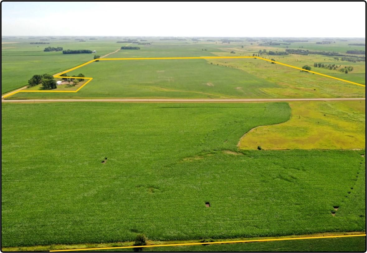 Sanborn, Redwood County, MN Farms and Ranches for auction Property ID