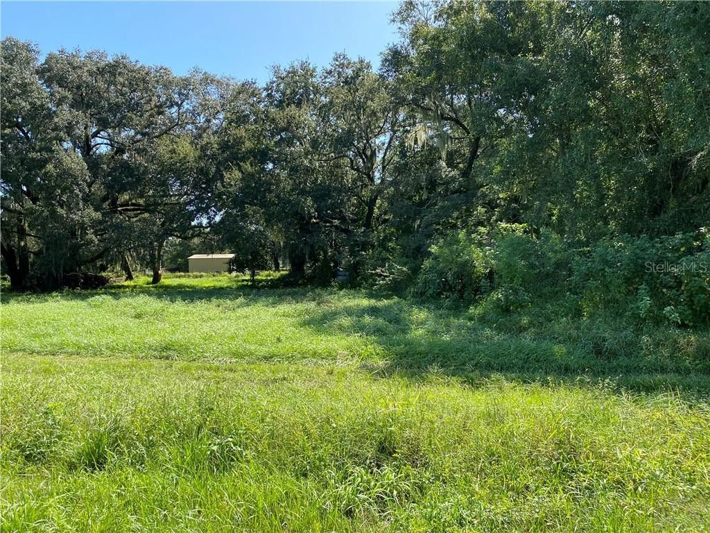 Zolfo Springs, Hardee County, FL Farms and Ranches, Homesites for sale