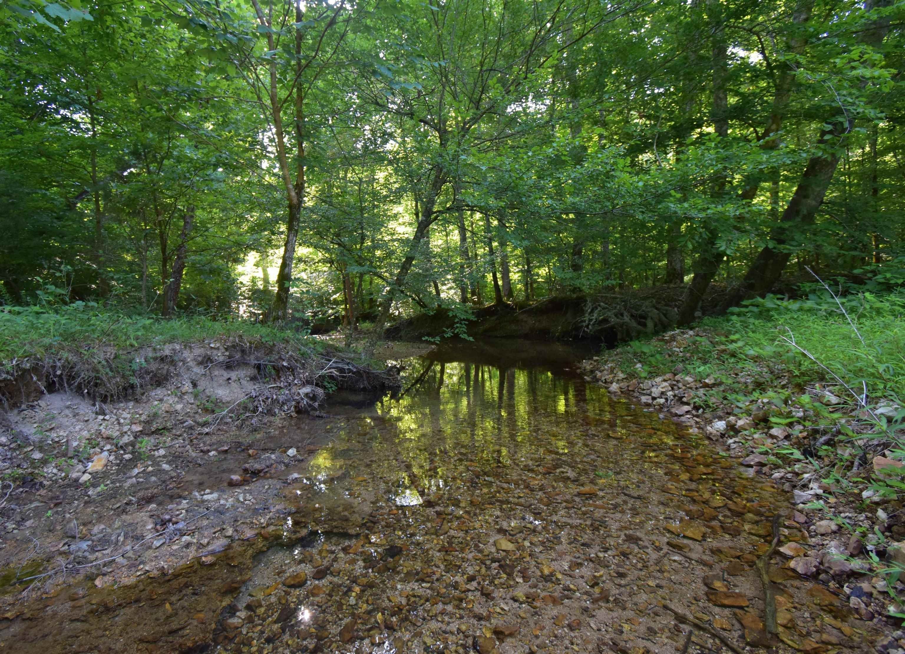 Linden, Perry County, TN Farms and Ranches for sale Property ID