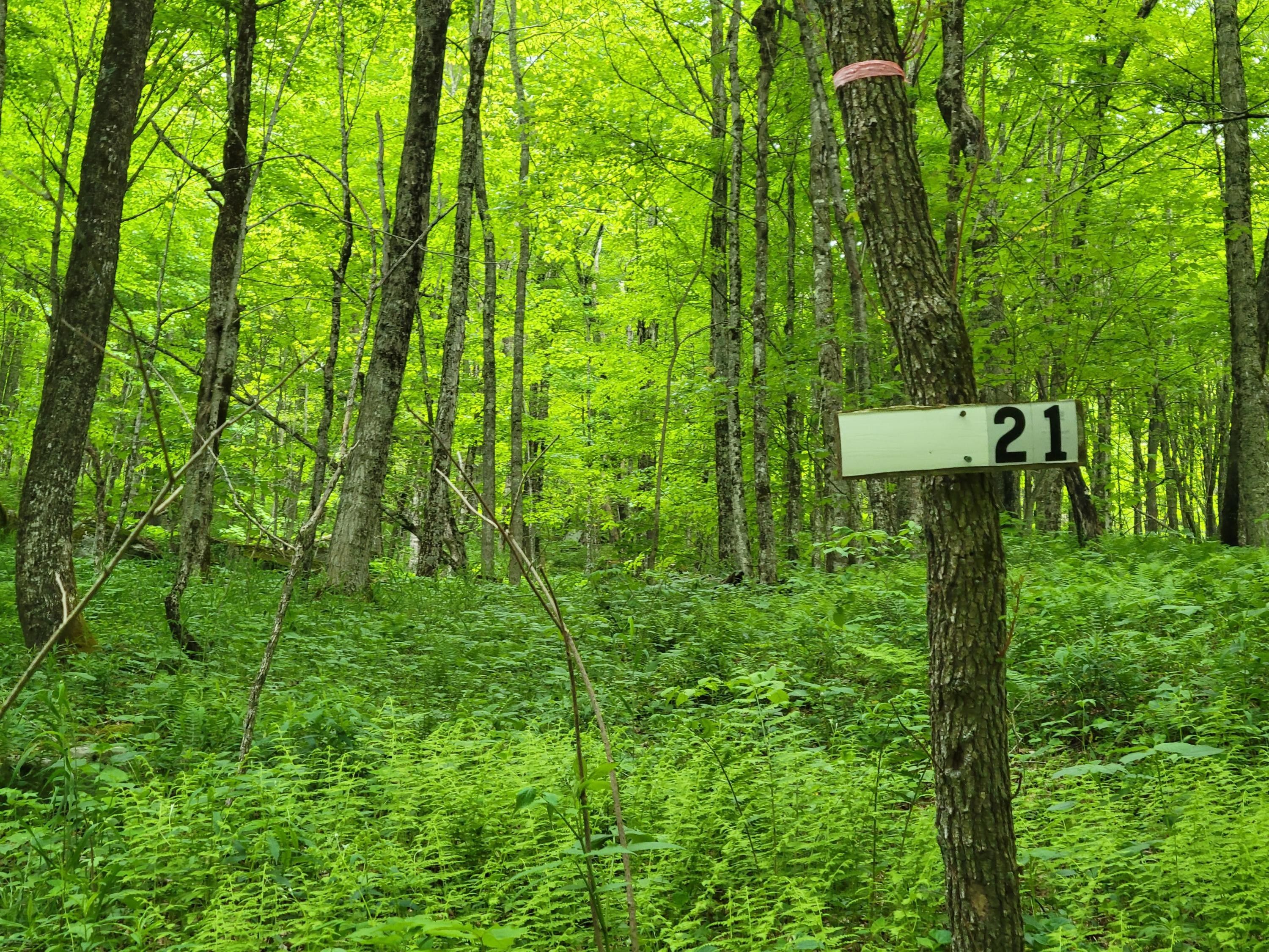 Snowshoe, Pocahontas County, WV Undeveloped Land, Homesites for sale Property ID 414357864