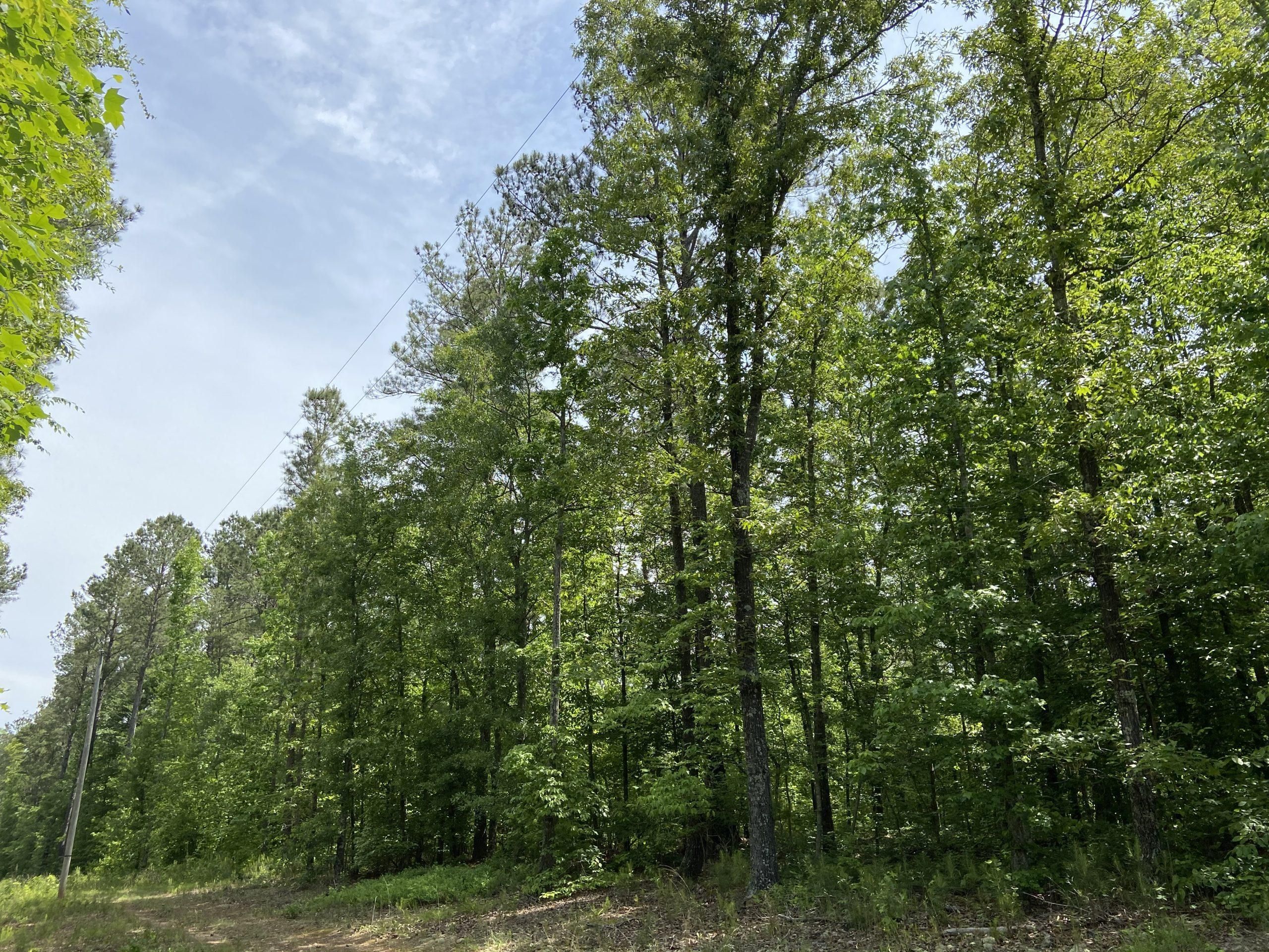 Franklin, Heard County, GA Recreational Property for sale Property ID