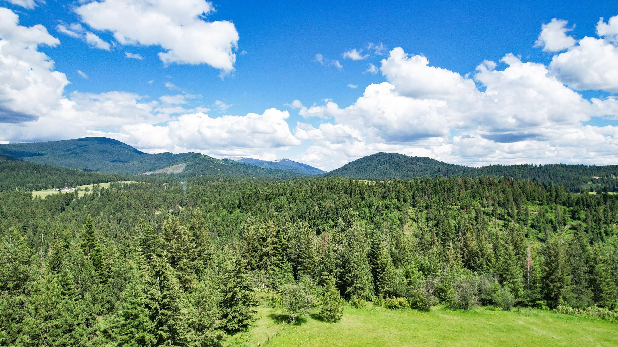 St Maries, Benewah County, ID Recreational Property, Timberland