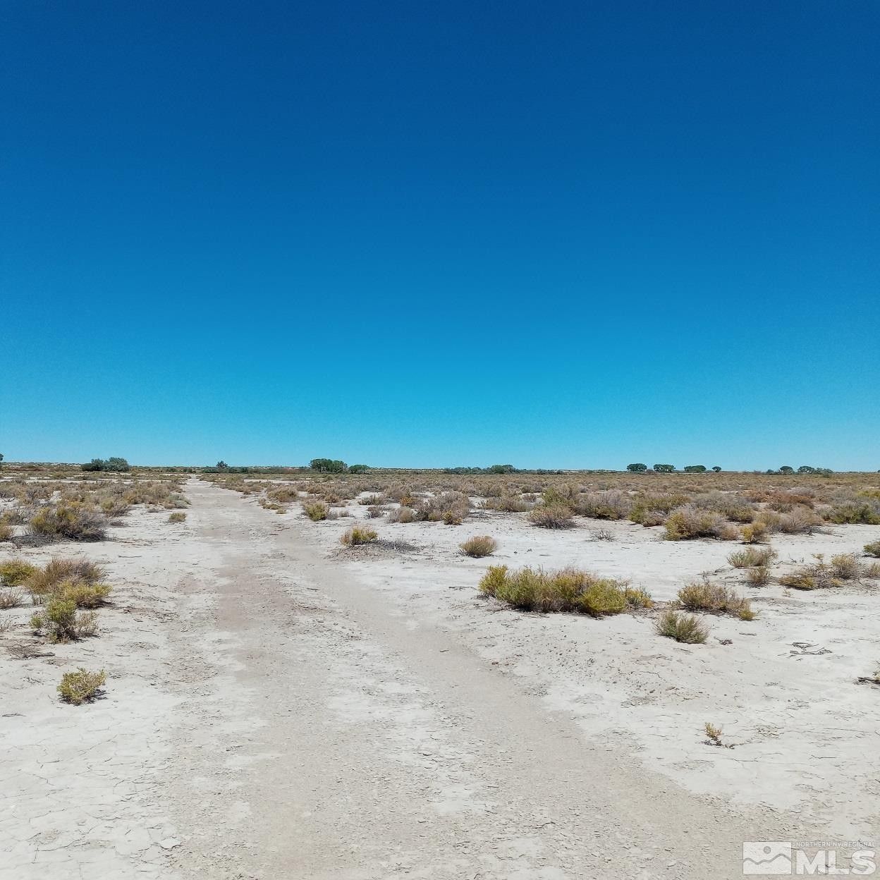 Fallon, Churchill County, NV Undeveloped Land for sale Property ID