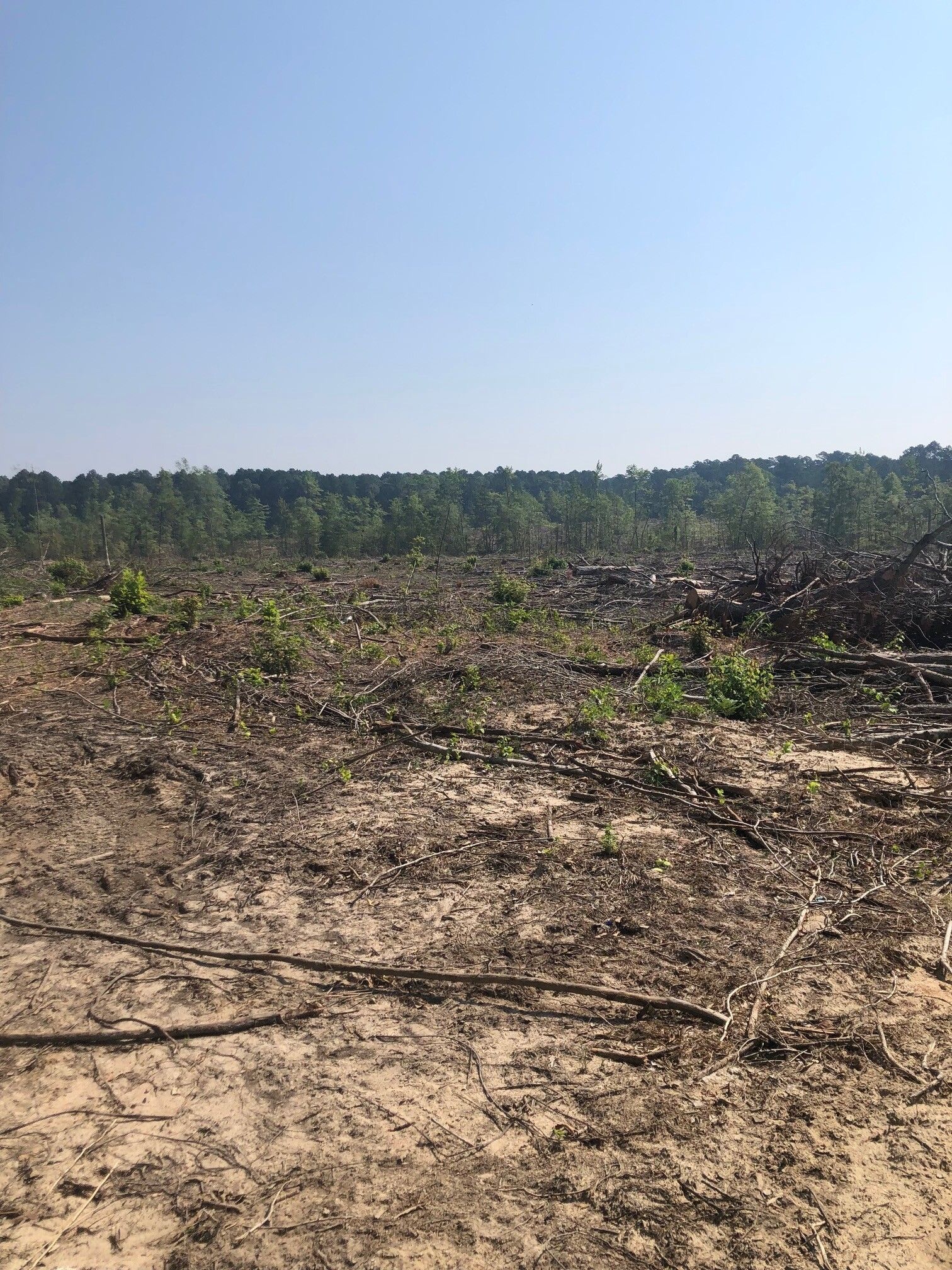 Emerson, Columbia County, AR Undeveloped Land for sale Property ID