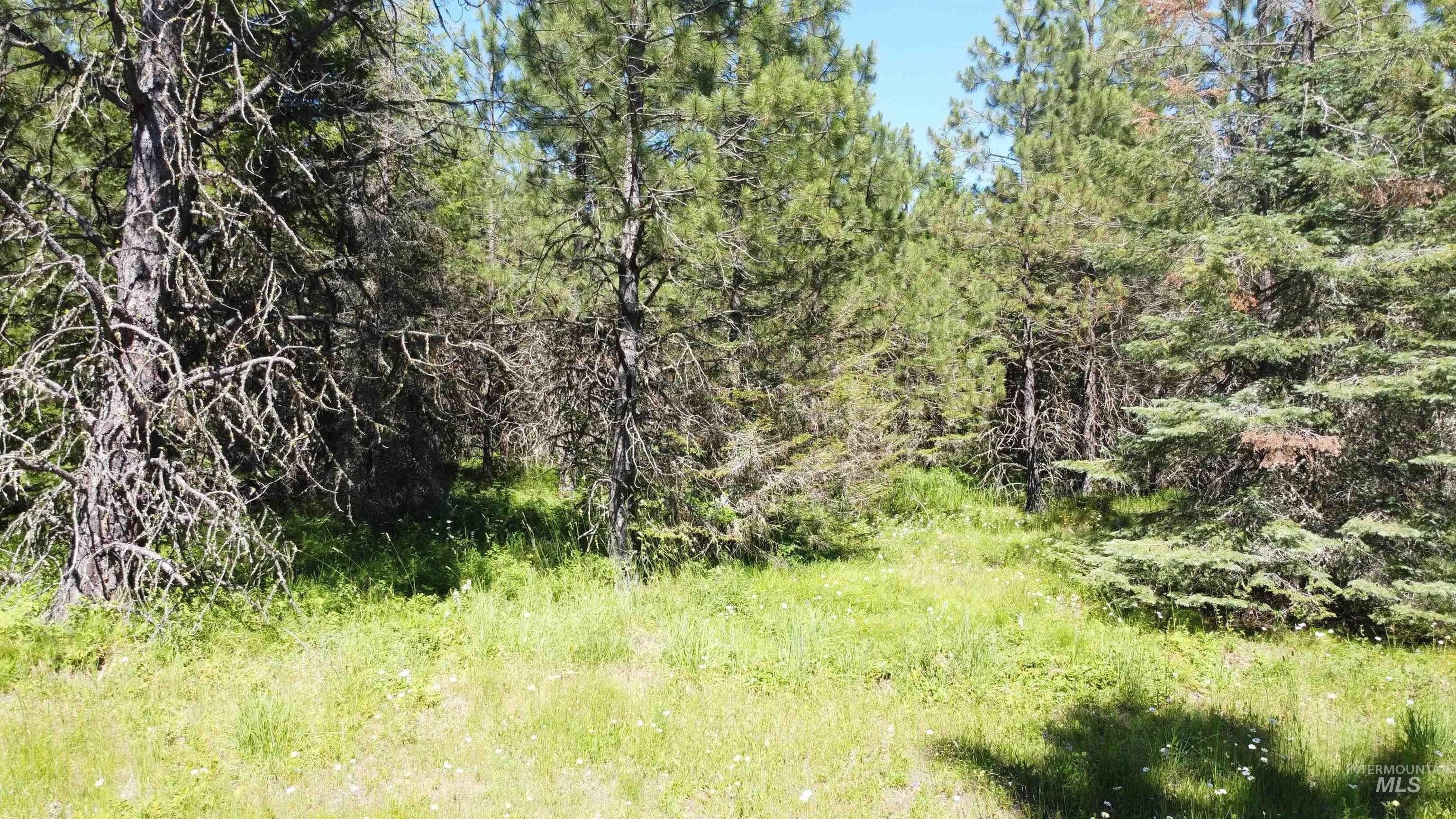 Weippe, Clearwater County, ID Undeveloped Land for sale Property ID 414360951 LandWatch