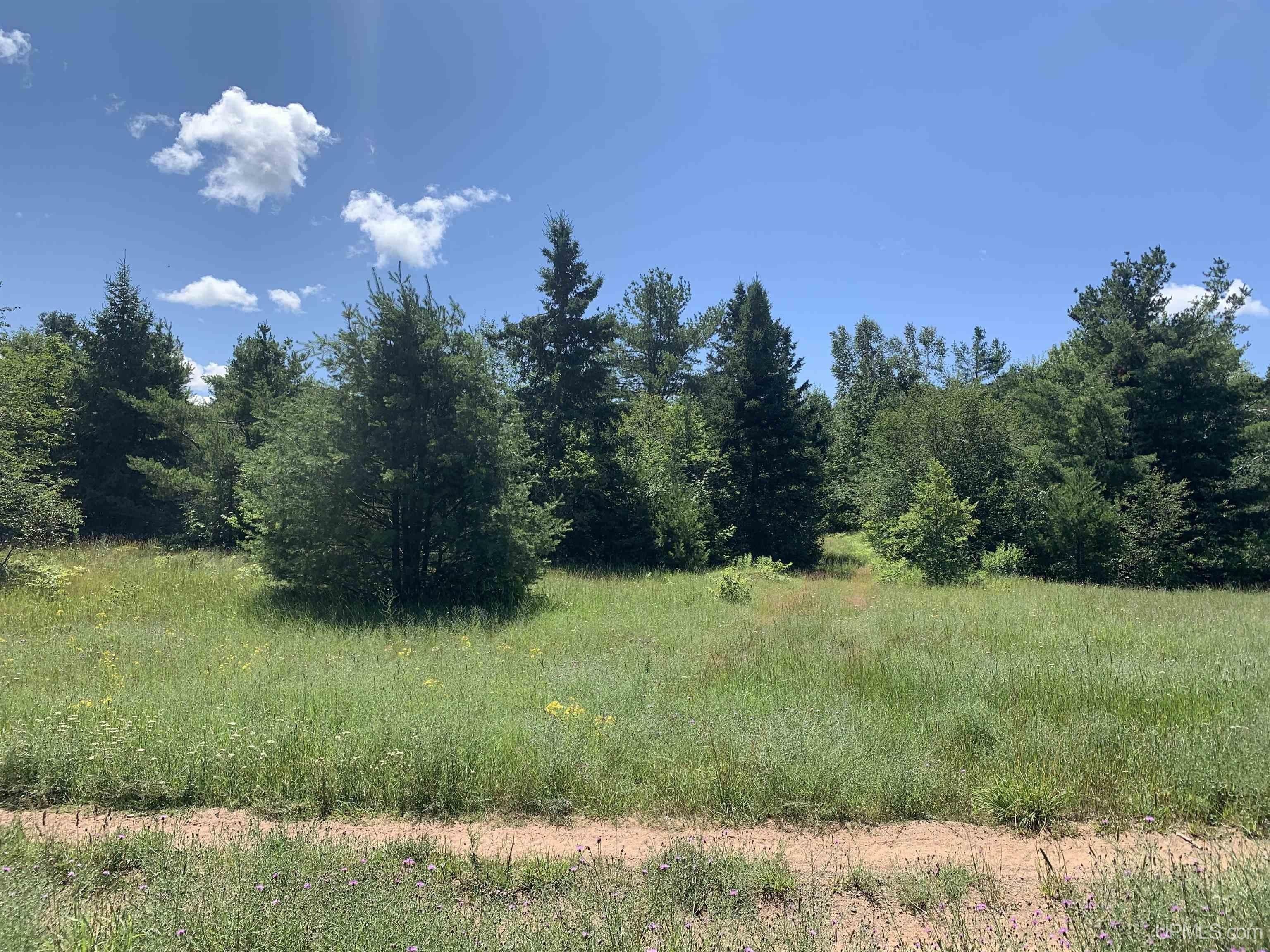 Toivola, Houghton County, MI Undeveloped Land, Lakefront Property