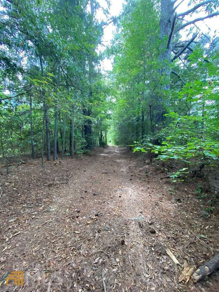 Tignall, Wilkes County, GA Undeveloped Land for sale Property ID