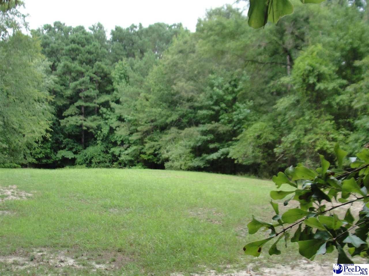 Marlboro County, SC Undeveloped Land, Homesites for sale