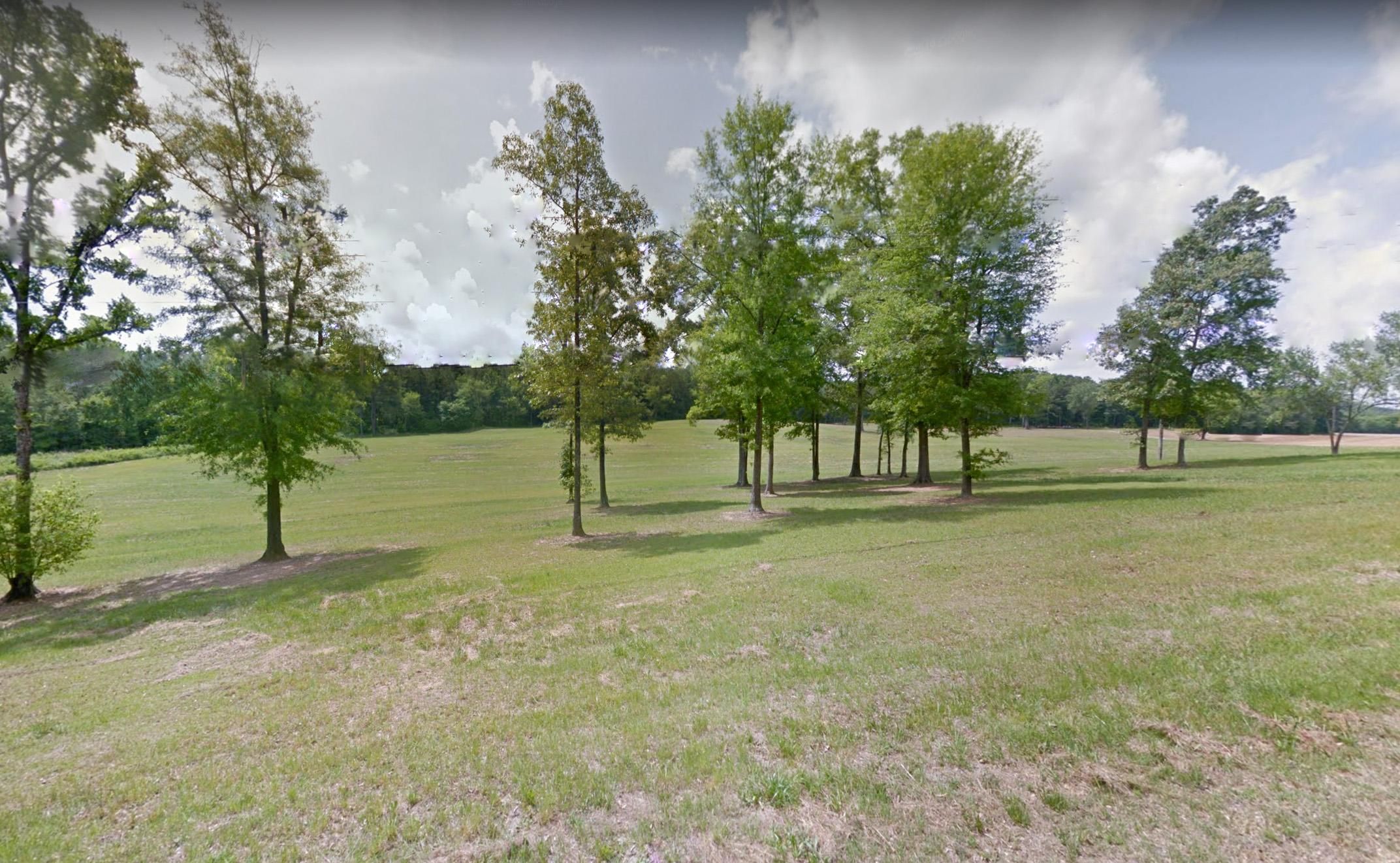 Malone Drive, Ohatchee, AL 36271 LandWatch
