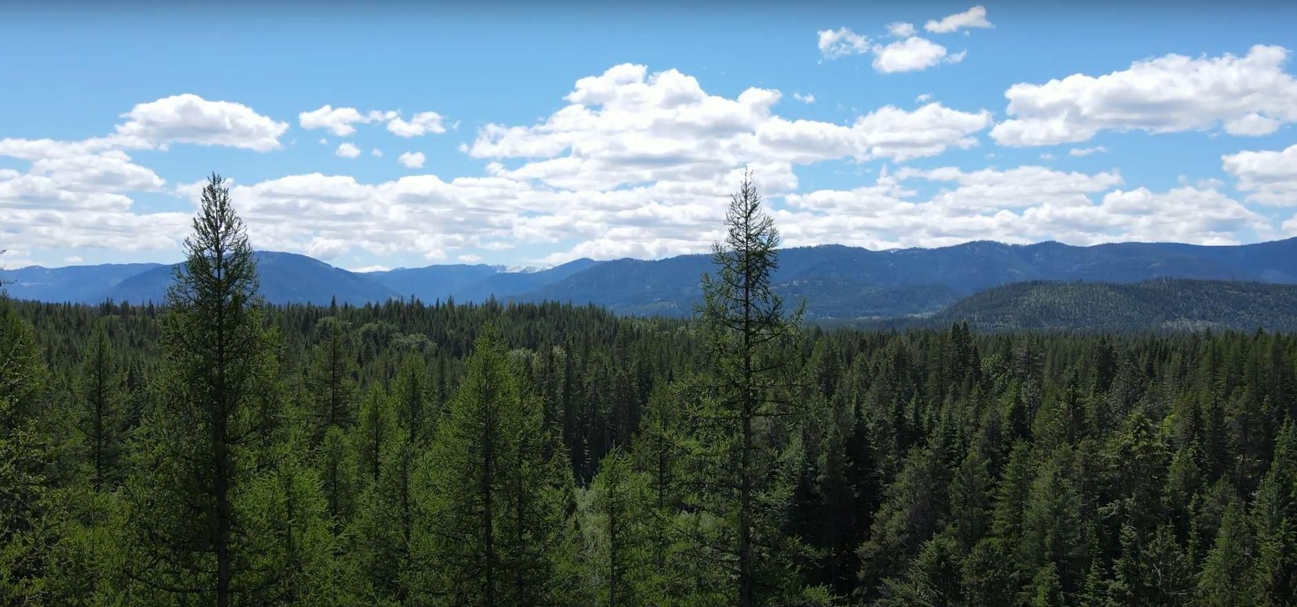 Troy, Lincoln County, MT Recreational Property, Undeveloped Land, Homesites for sale Property ID