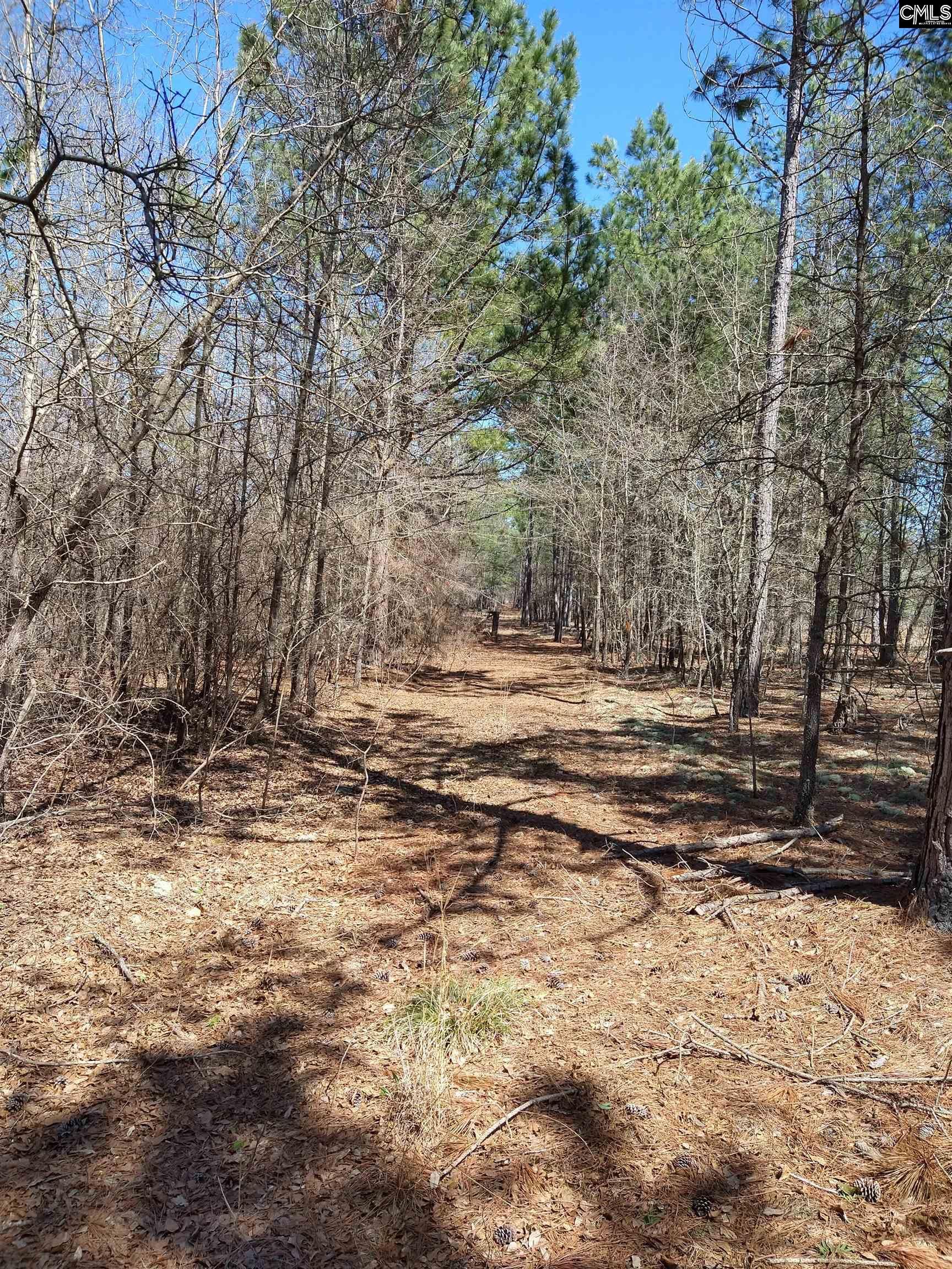 Cassatt, Kershaw County, SC Undeveloped Land for sale Property ID 413767964 LandWatch