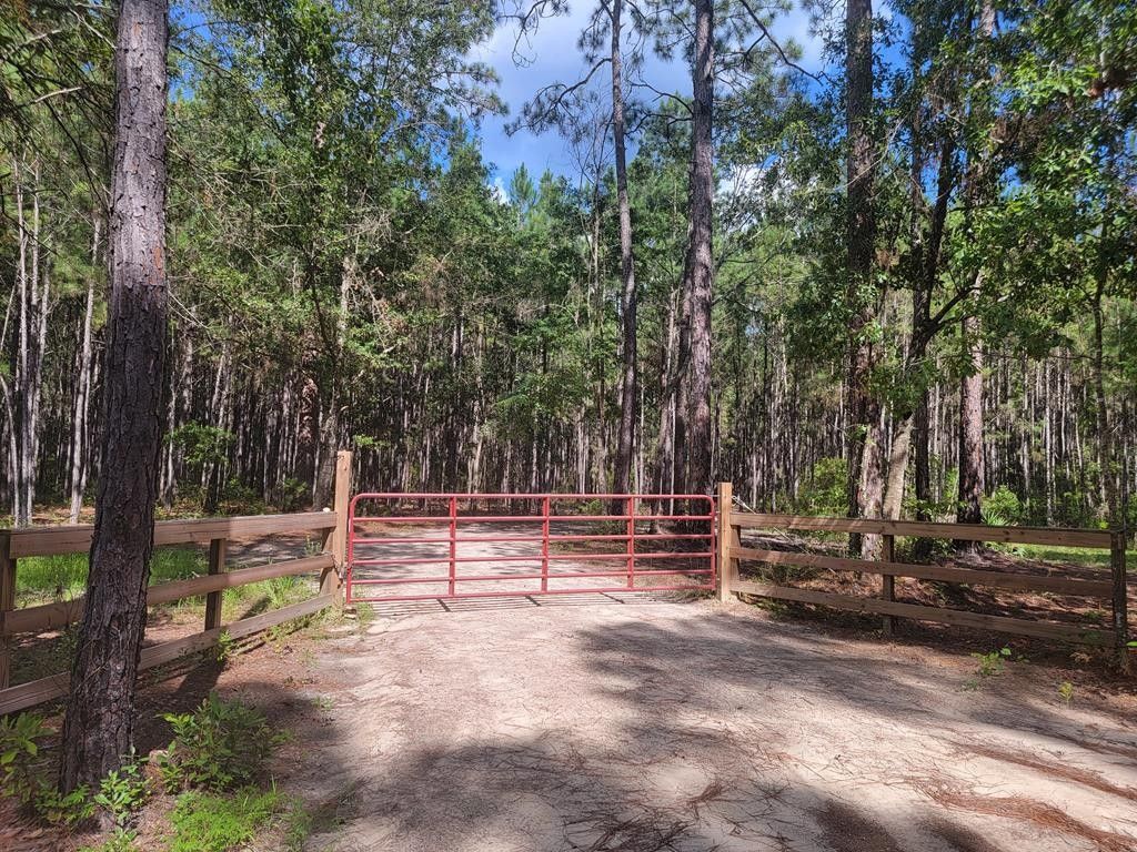 Valdosta, Lowndes County, GA Undeveloped Land for sale Property ID