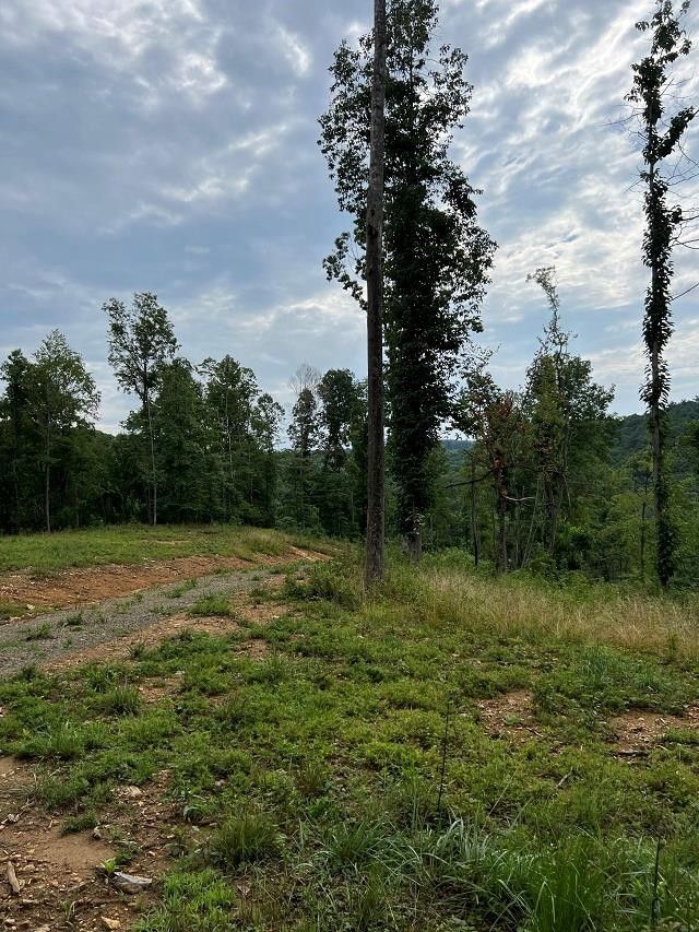 Fancy Gap, Carroll County, VA Farms and Ranches, Lakefront Property