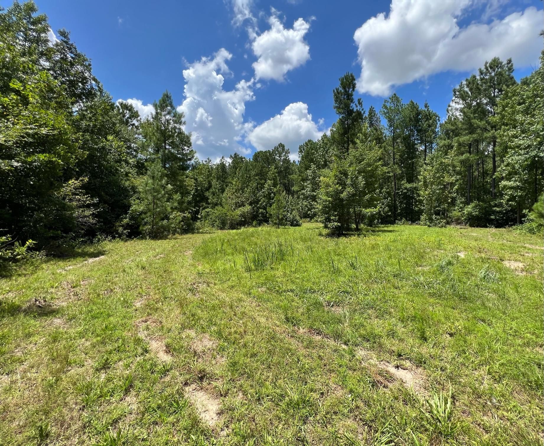 1557 Tarver Road, Davisboro, GA 31018 MLS 20061148 LandWatch