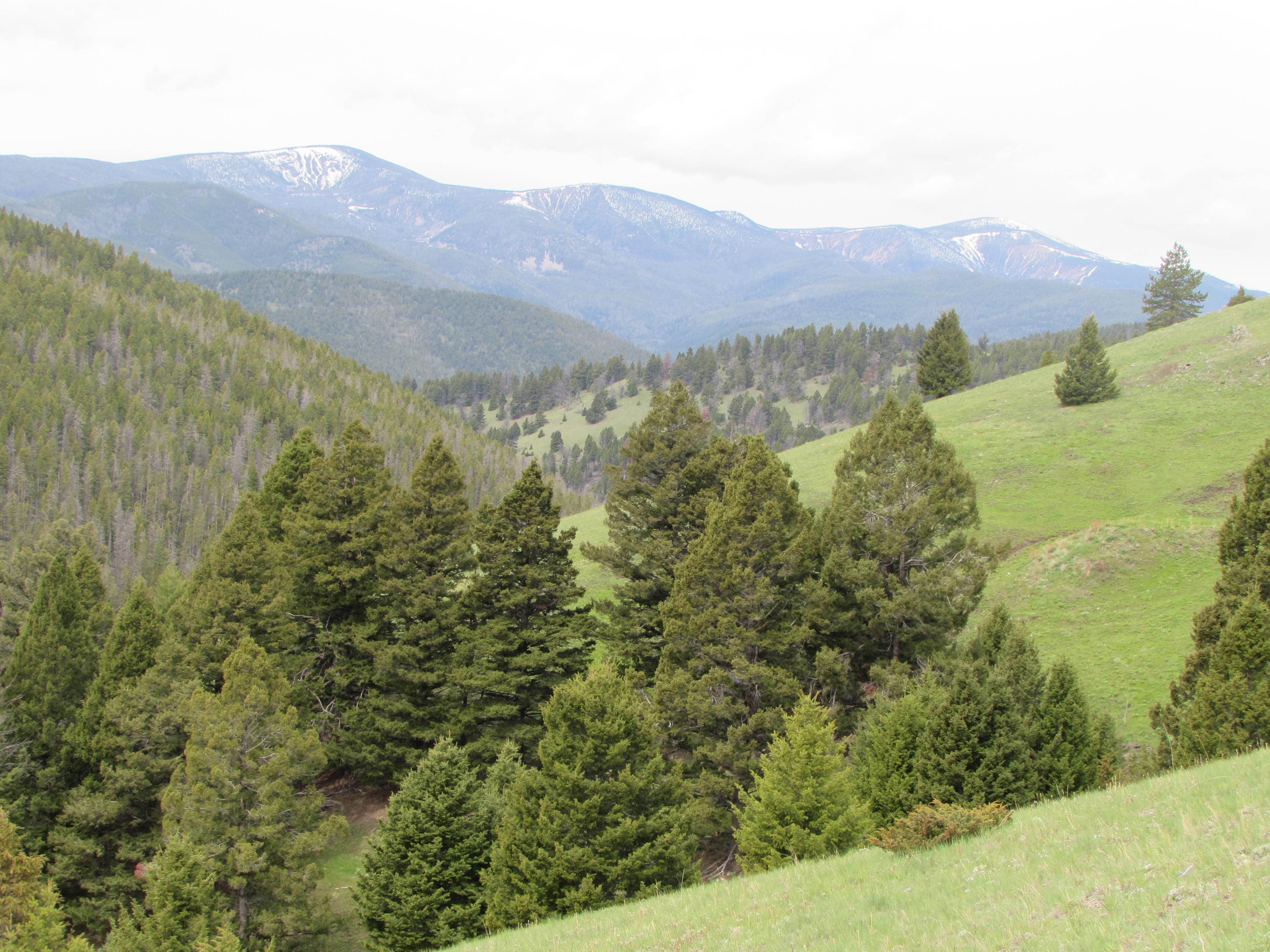 Marysville, Lewis and Clark County, MT Recreational Property