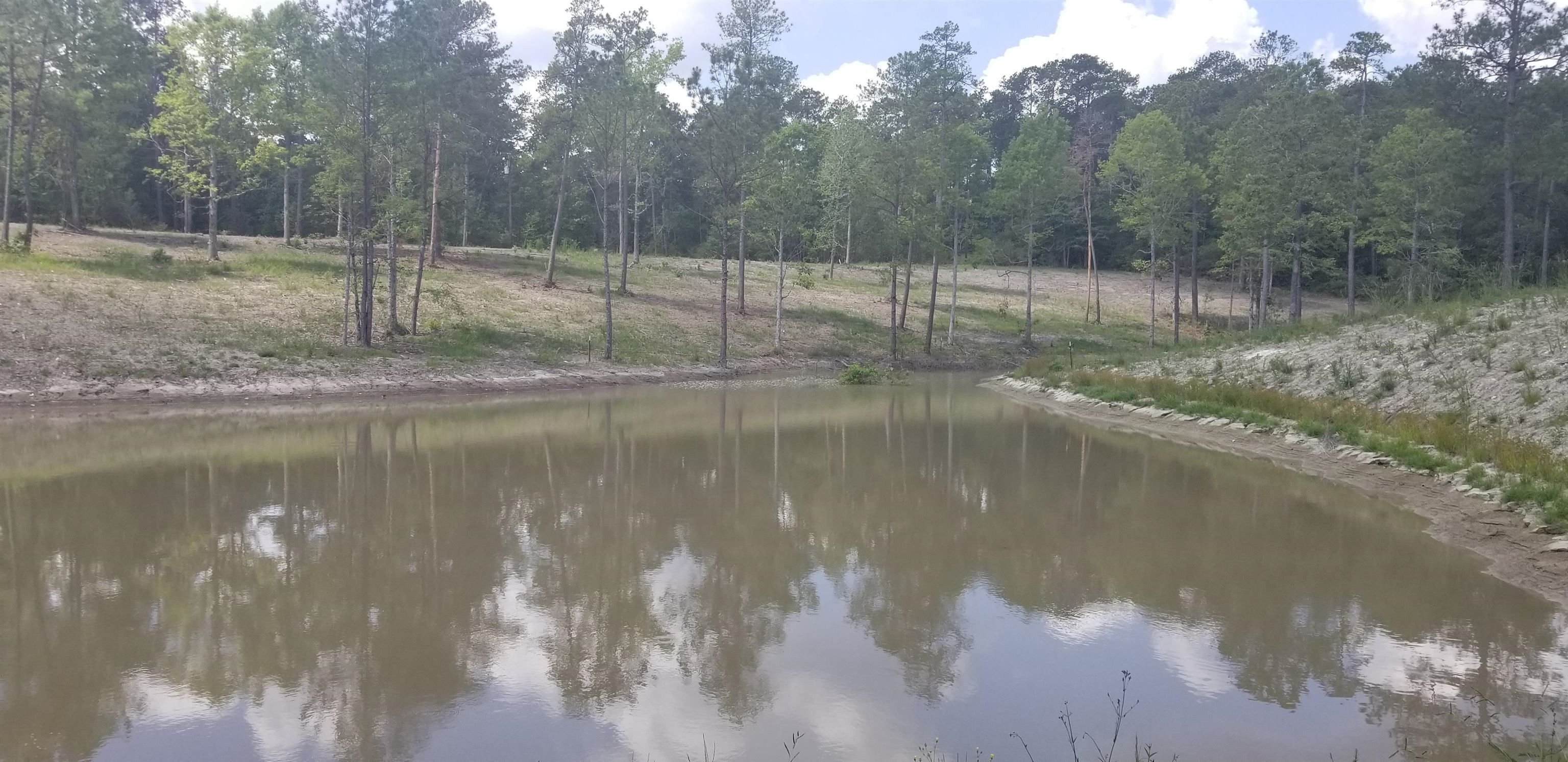 Burkeville, Newton County, TX Undeveloped Land, Lakefront Property, Waterfront Property for sale