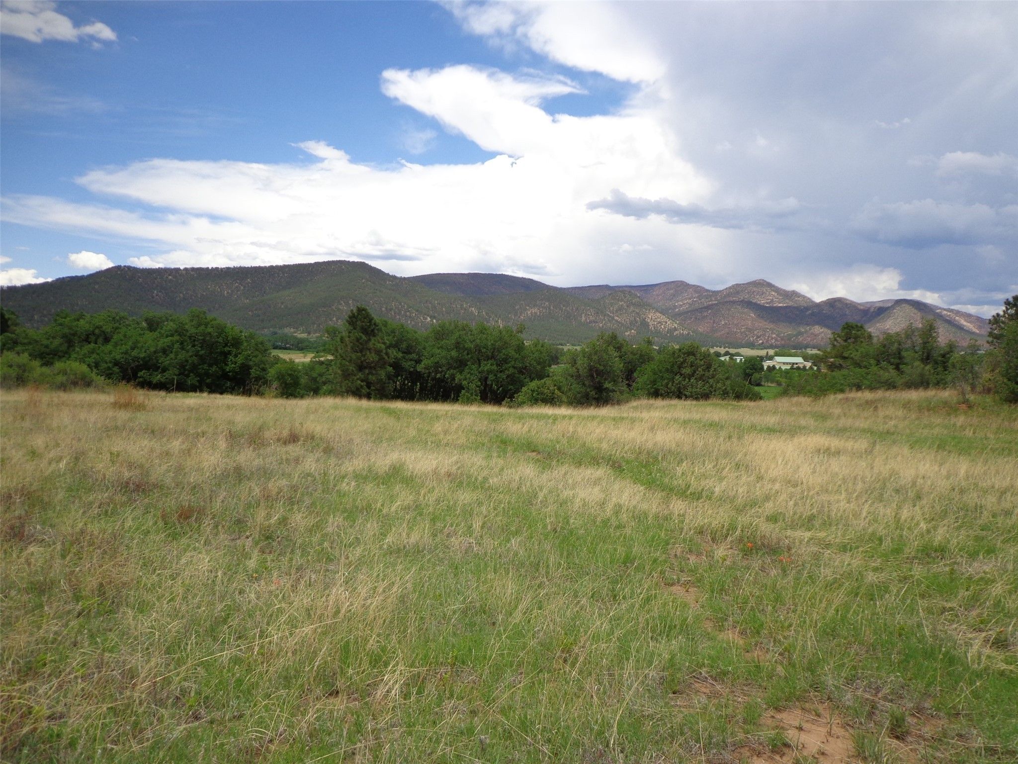 Mora, Mora County, NM Farms and Ranches for sale Property ID 414369517
