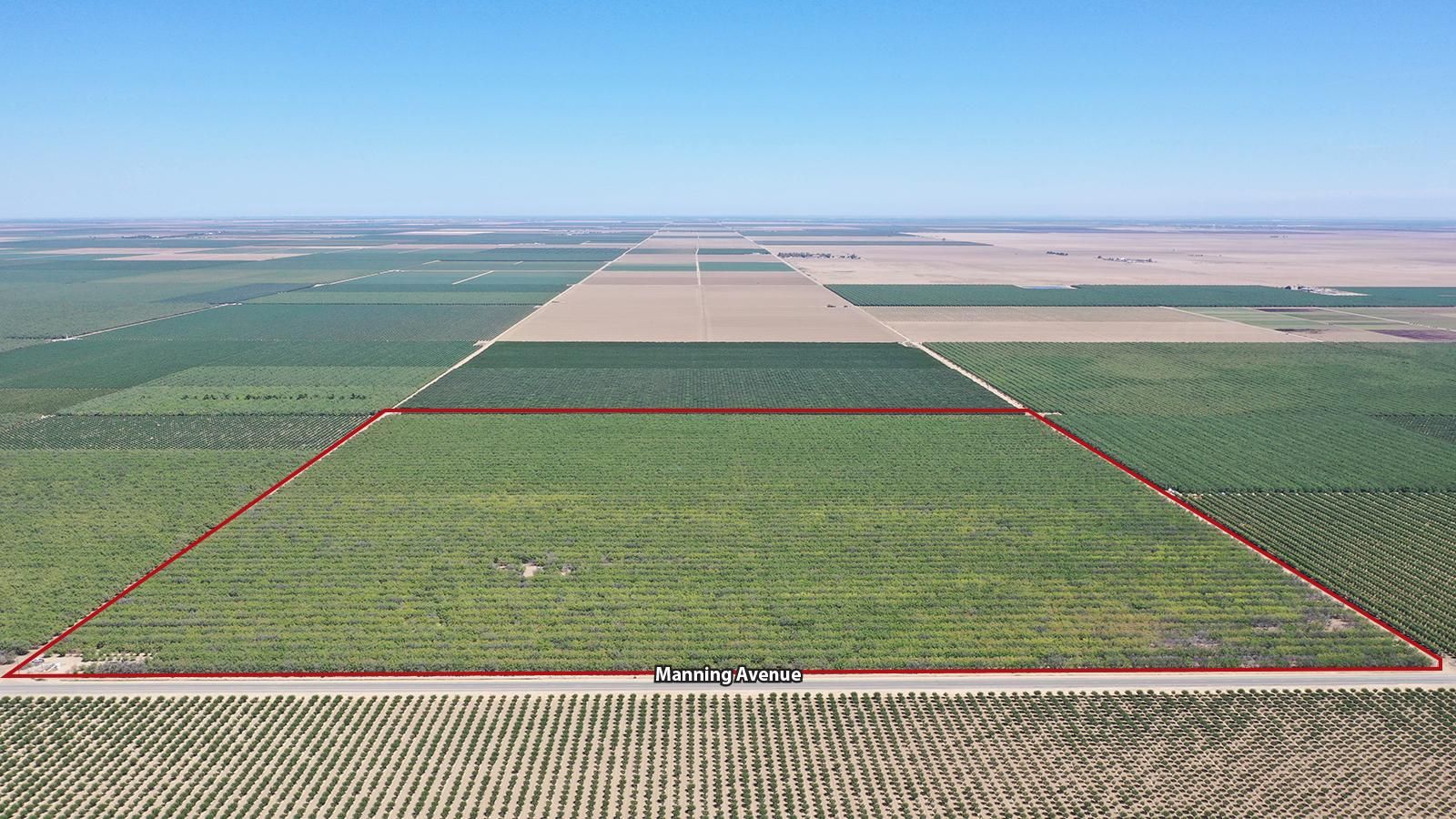 Mendota, Fresno County, CA Farms and Ranches for sale Property ID