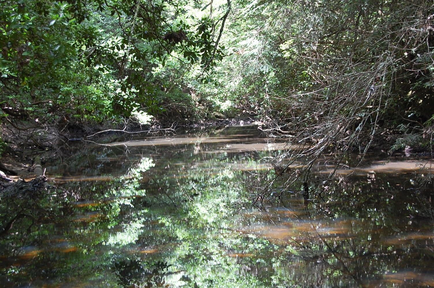 Palmer, Grundy County, TN Farms and Ranches for sale Property ID