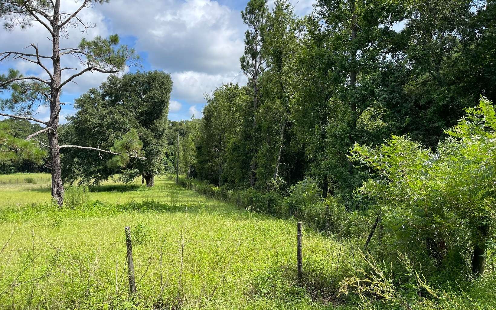 Lake City, Columbia County, FL Undeveloped Land for sale Property ID