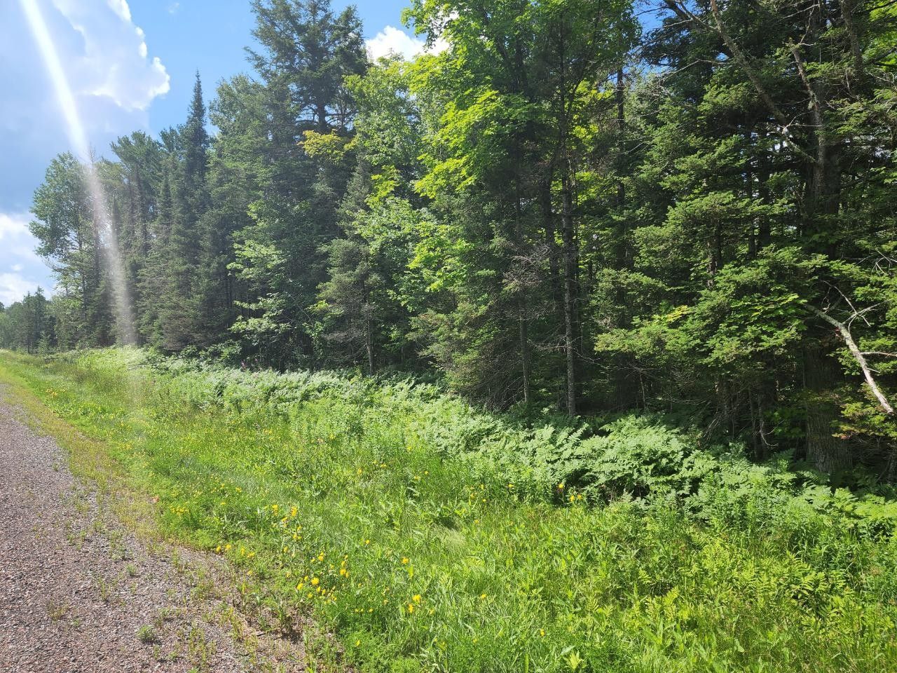 Watersmeet, Gogebic County, MI Undeveloped Land for sale Property ID
