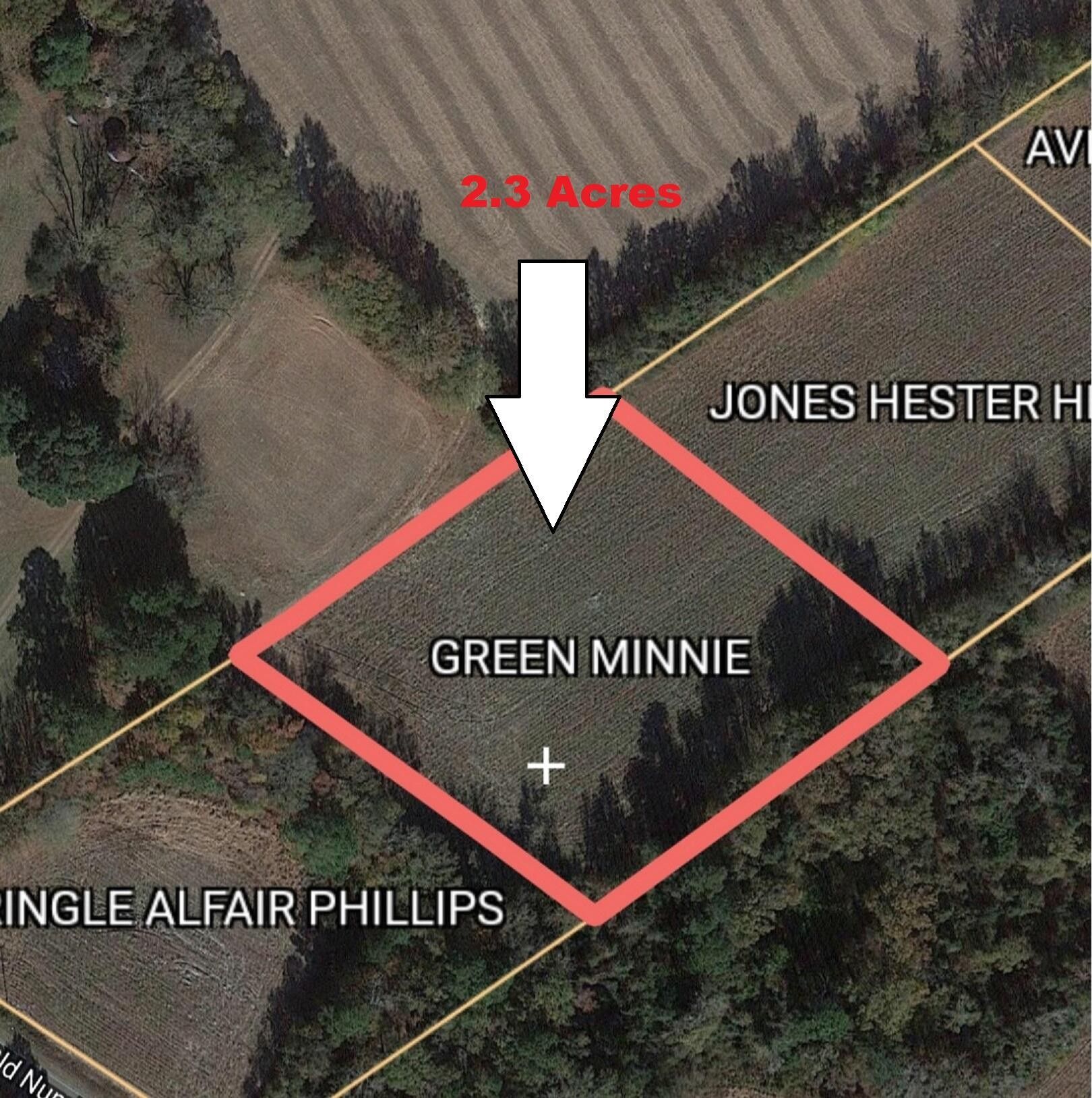 Vance, Orangeburg County, SC Undeveloped Land, Homesites for sale