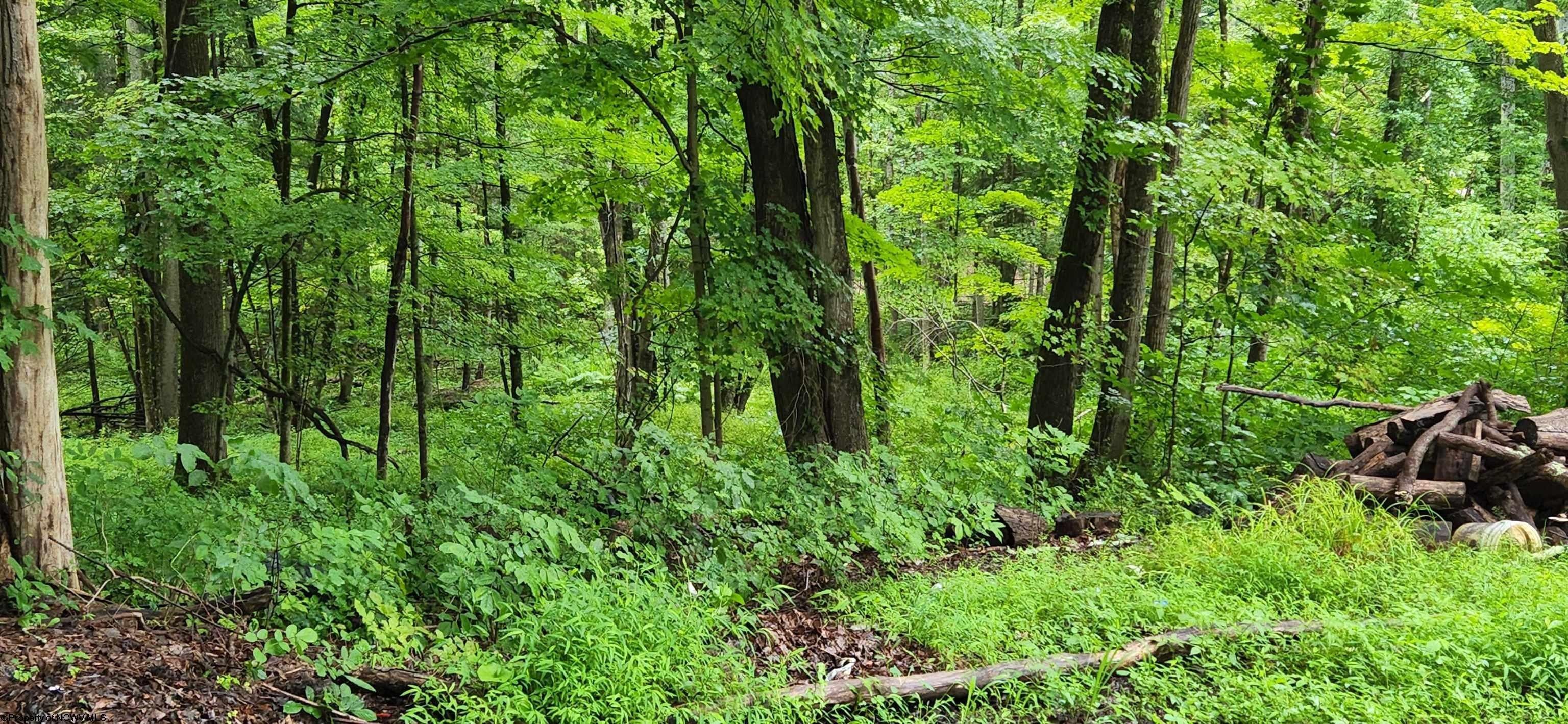 Philippi, Barbour County, WV Undeveloped Land for sale Property ID