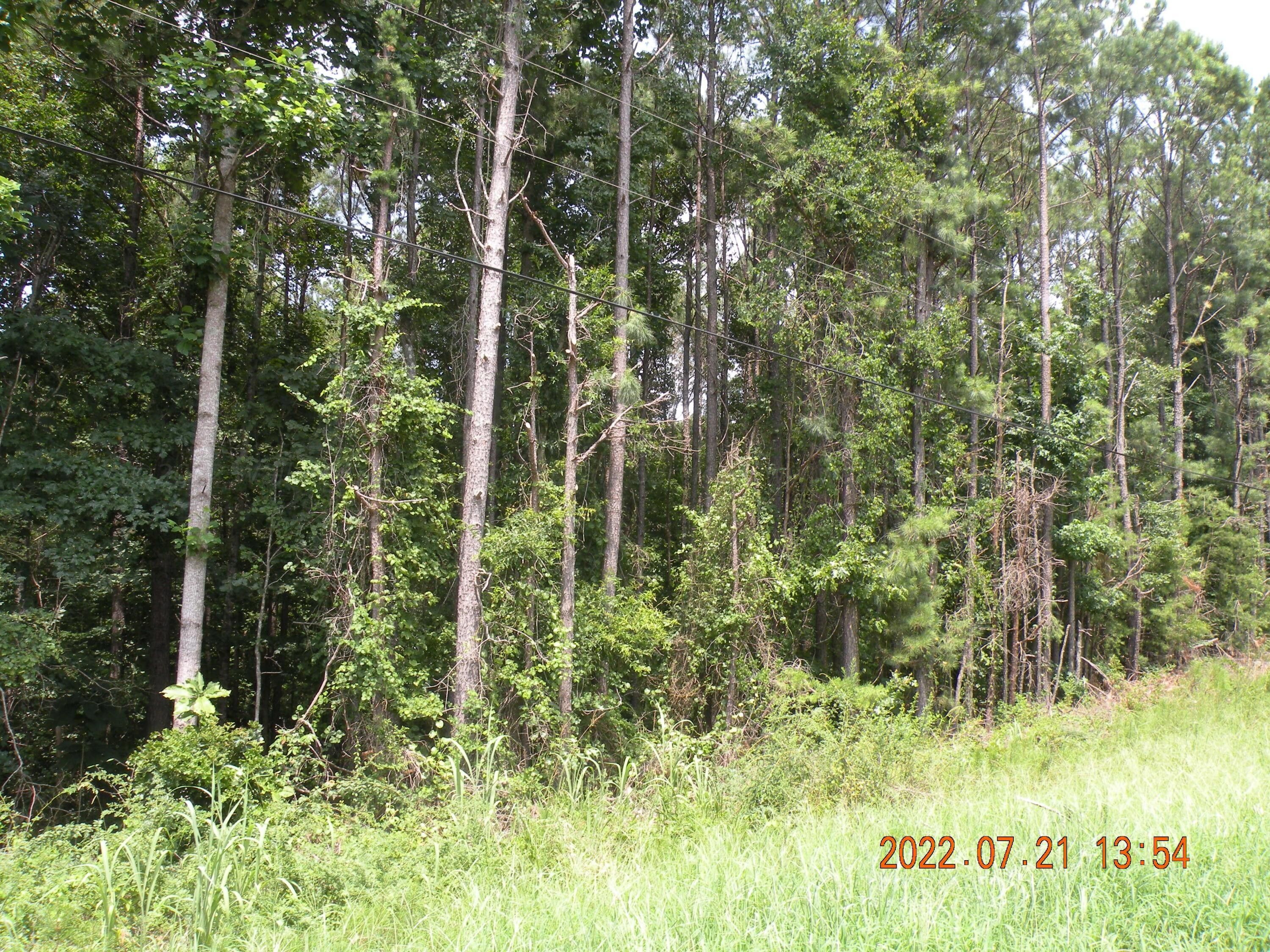 Jasper, Walker County, AL Undeveloped Land for sale Property ID