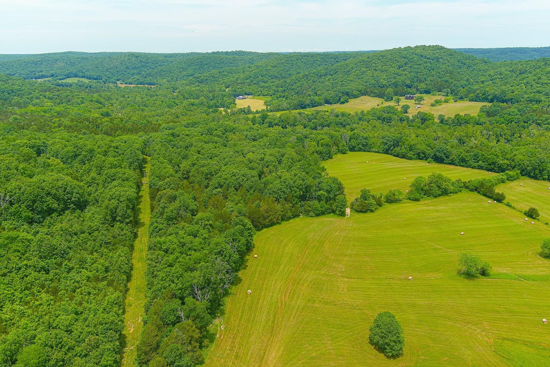 Black, Reynolds County, MO Farms and Ranches, Timberland Property