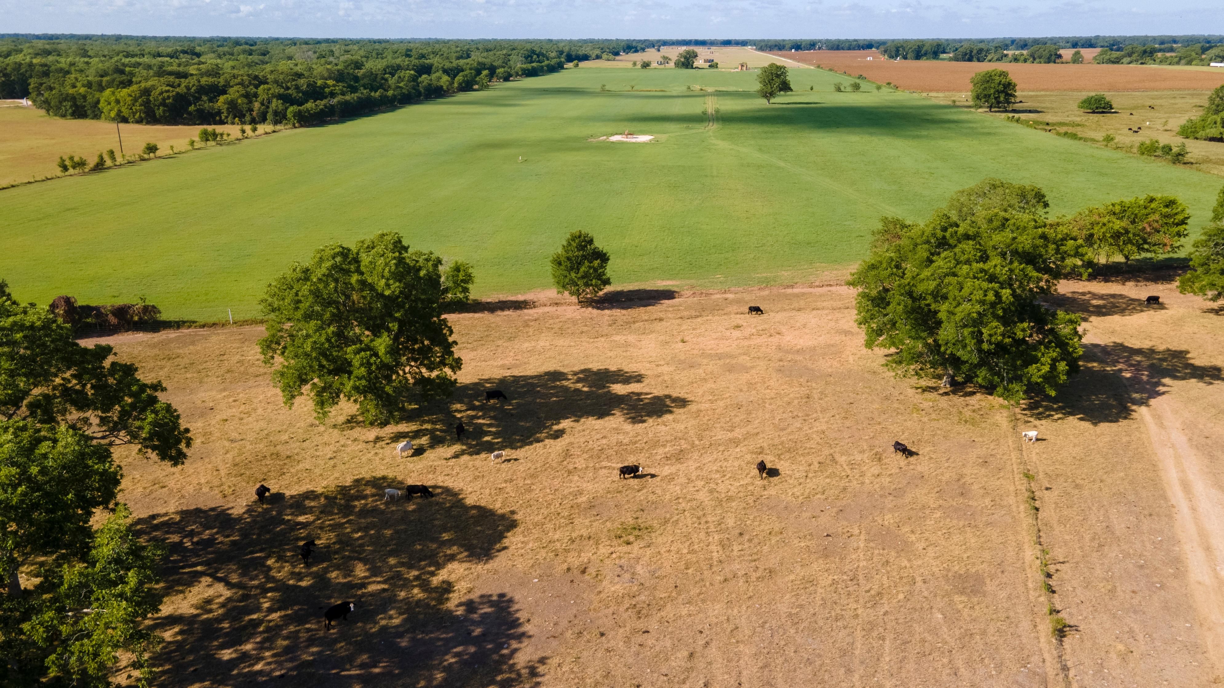 FM 102, Egypt, TX 77436 LandWatch