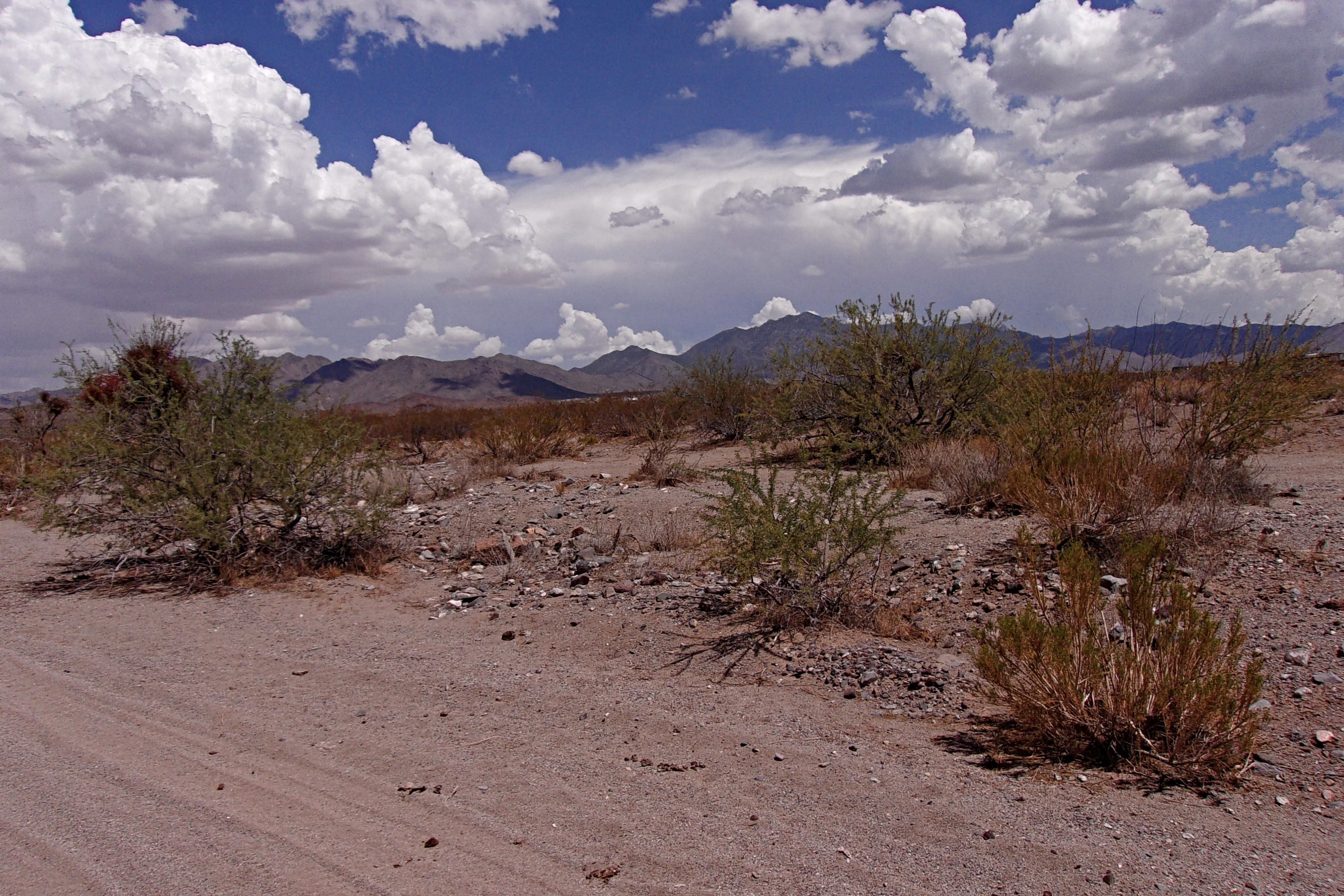 Dolan Springs, Mohave County, AZ Recreational Property, Undeveloped