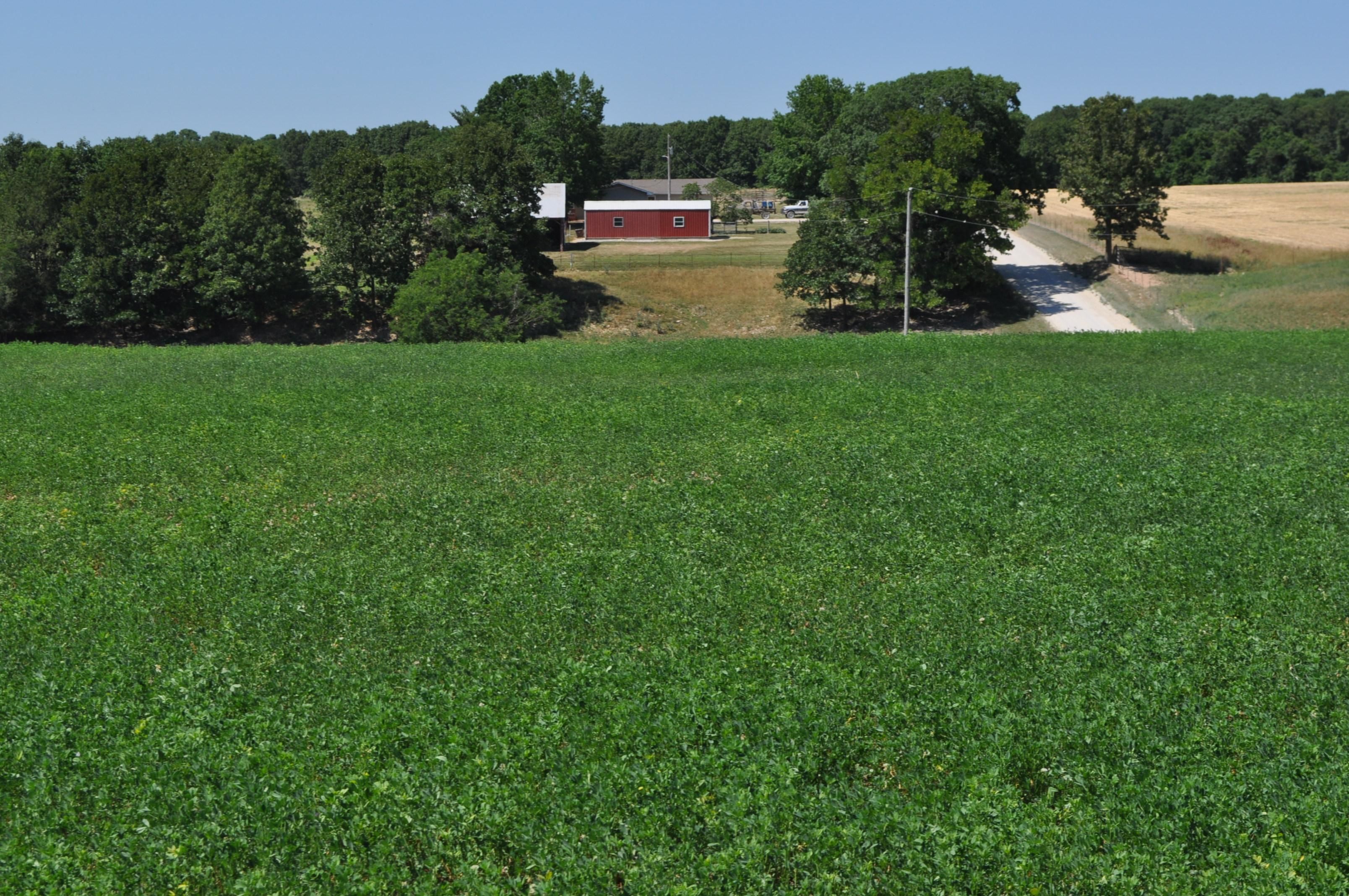 Fordland, ster County, MO Farms and Ranches for sale Property ID