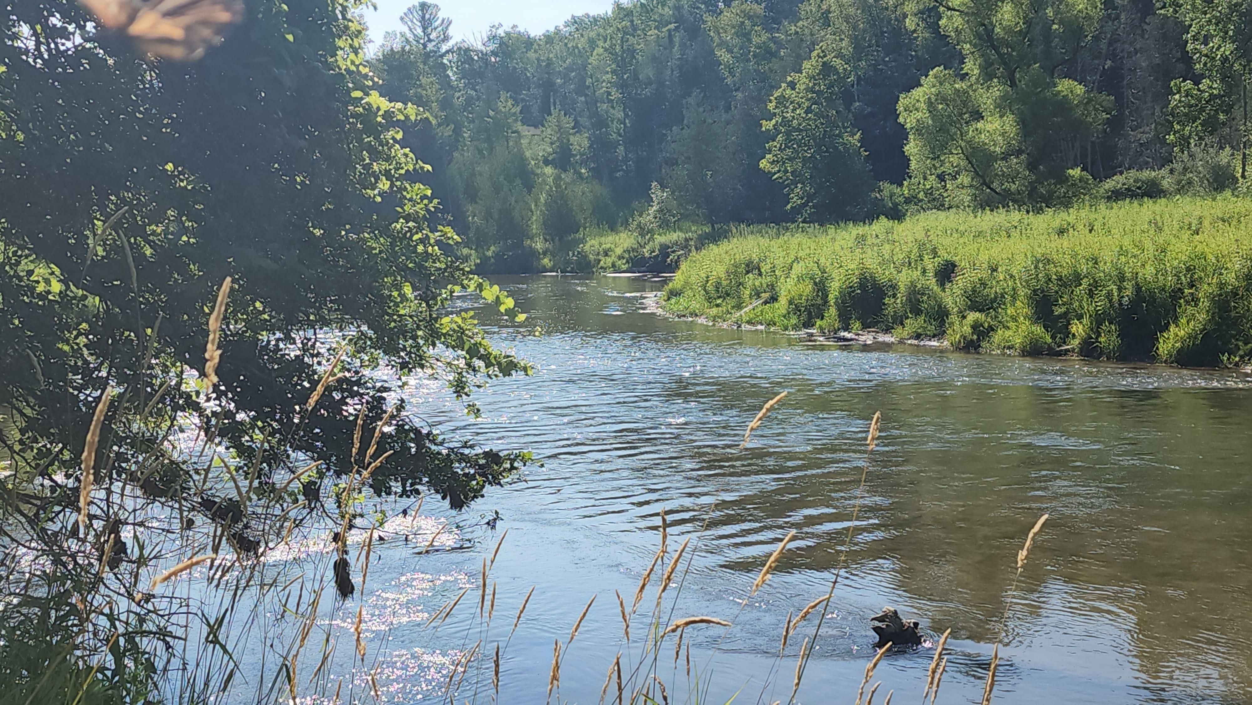Omer, Arenac County, MI Recreational Property, Undeveloped Land