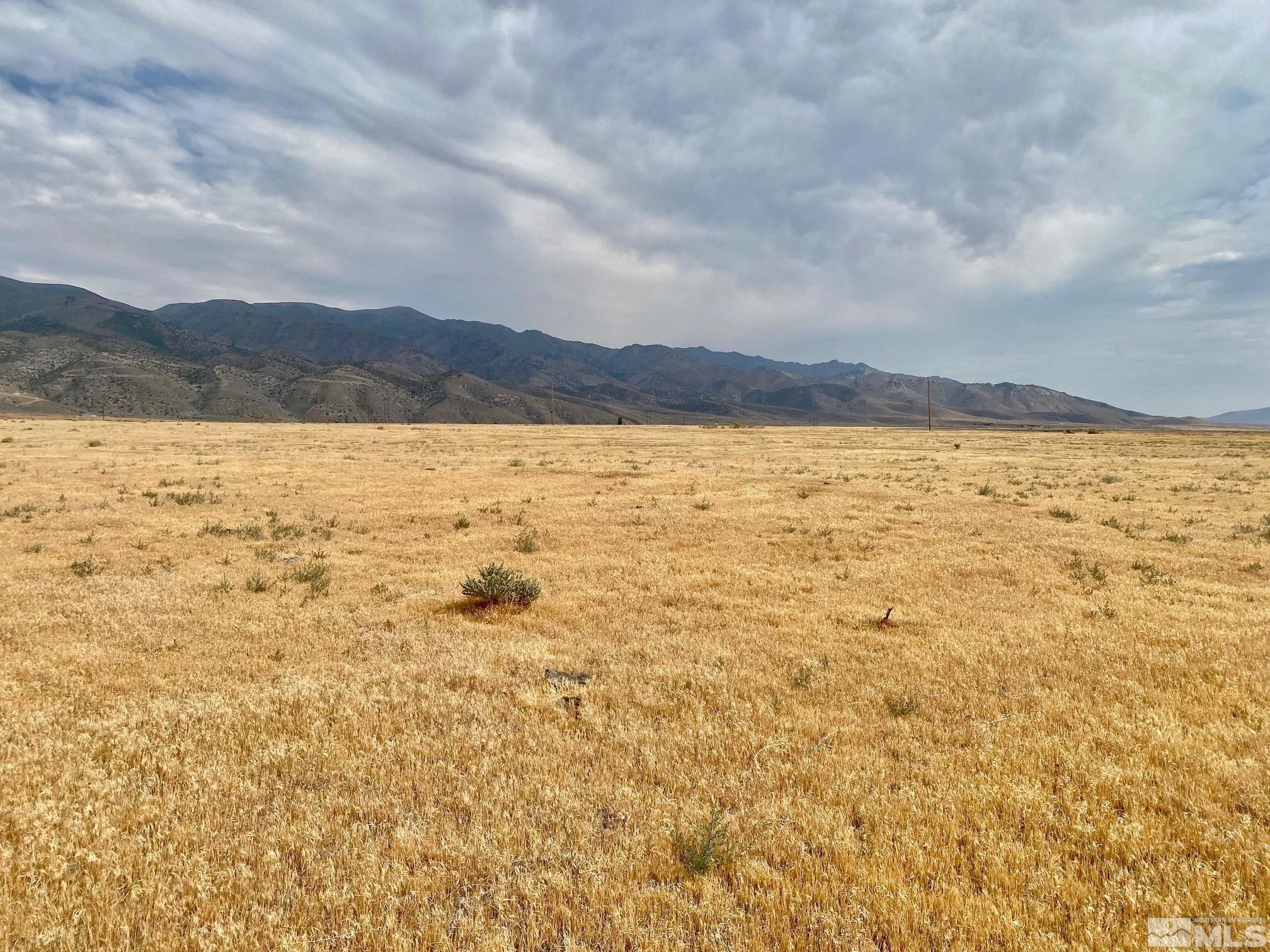 Lovelock, Pershing County, NV Undeveloped Land, Homesites for sale