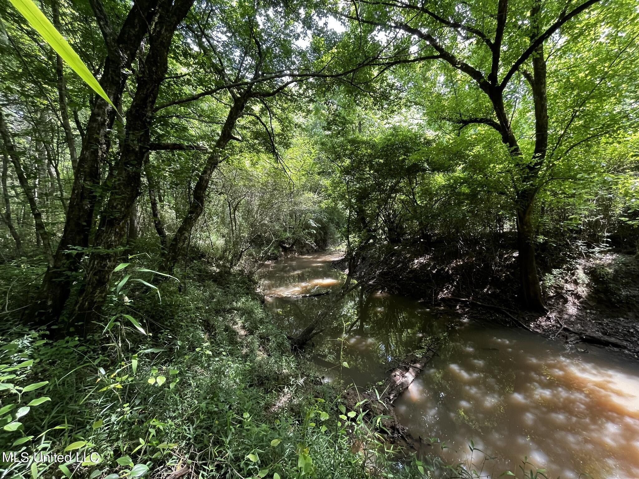 Pelahatchie, Rankin County, MS Undeveloped Land, Lakefront Property