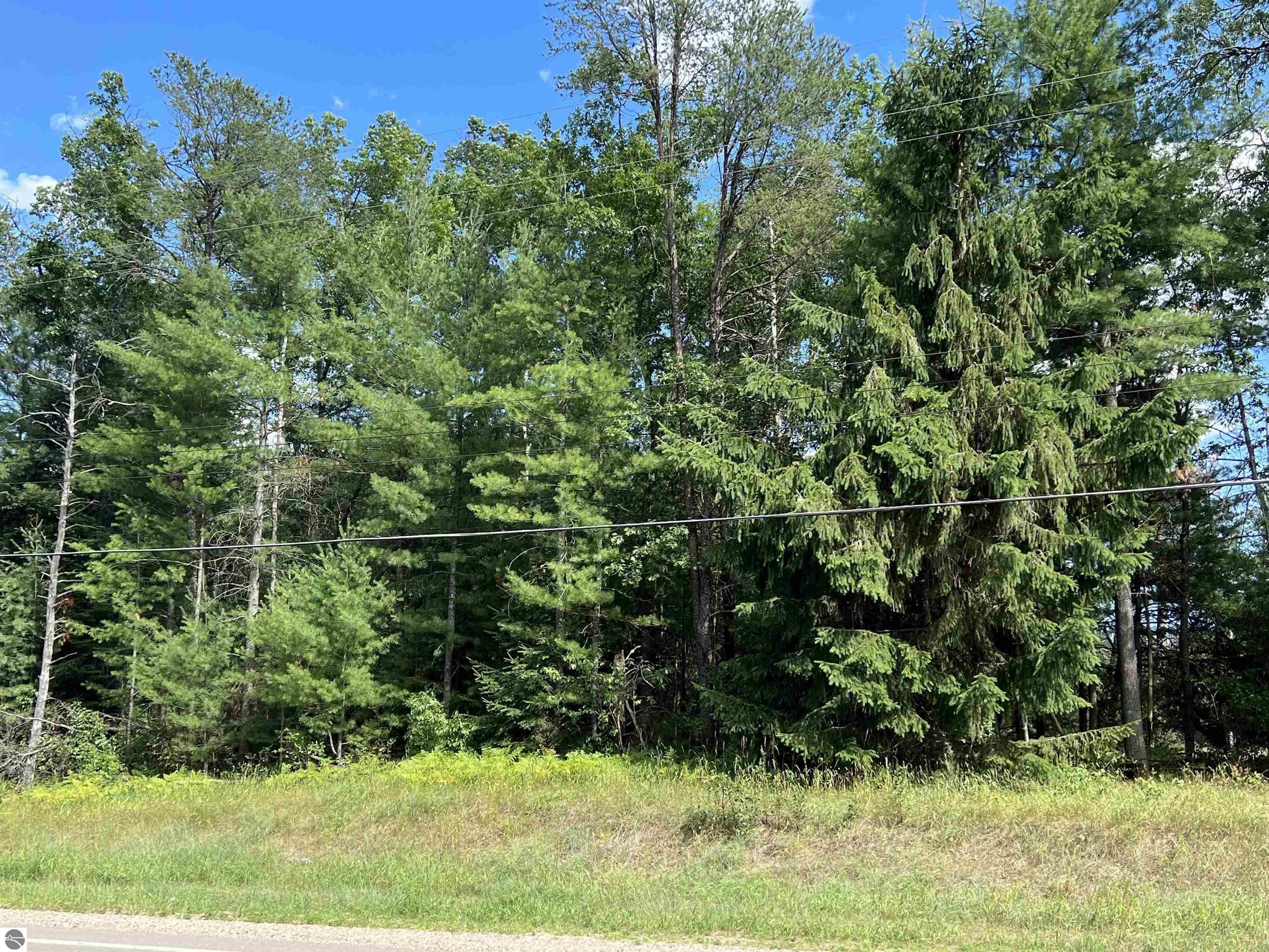 County, MI Undeveloped Land, Homesites for sale