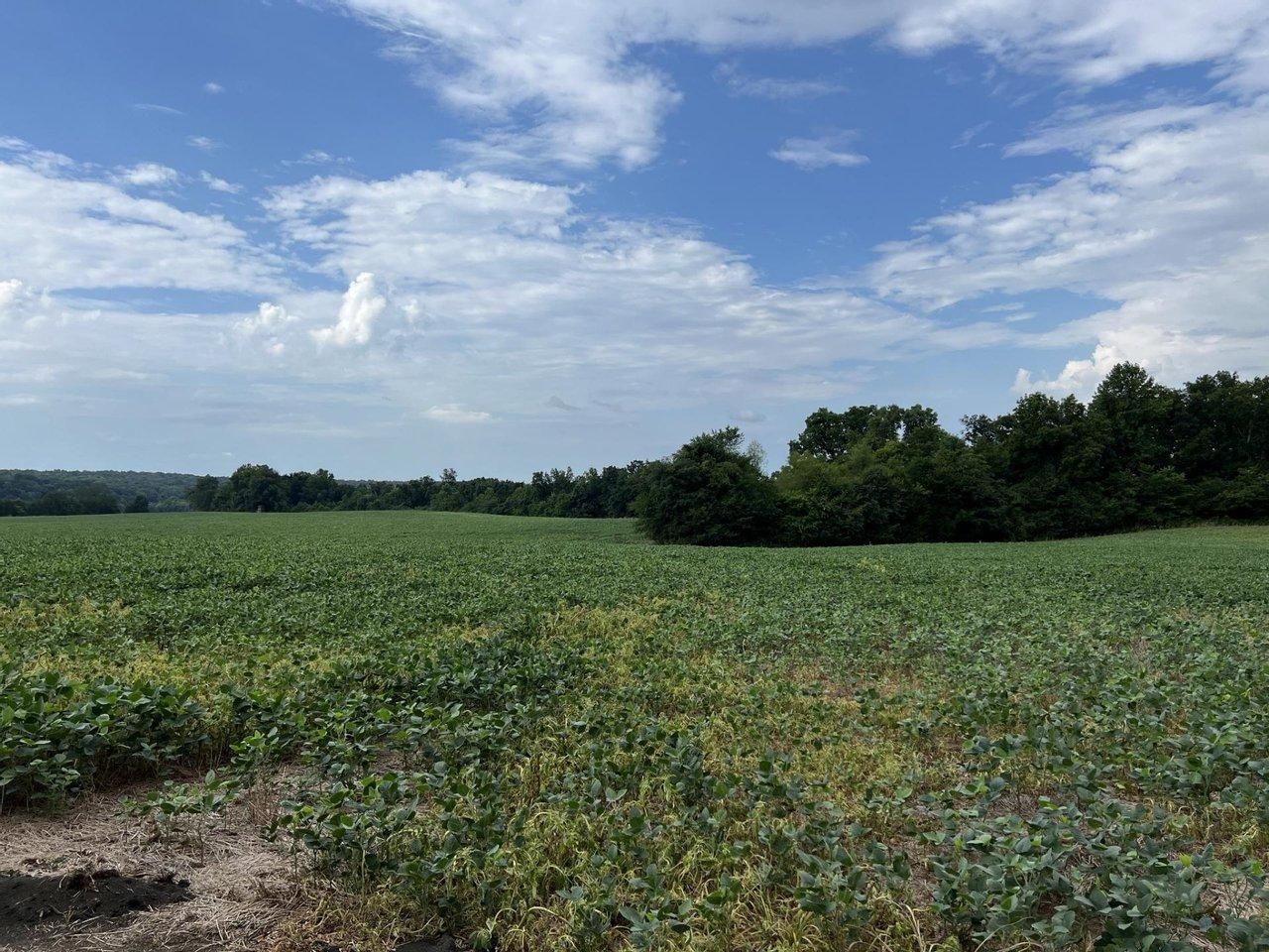 Nunnelly, Hickman County, TN Farms and Ranches for sale Property ID