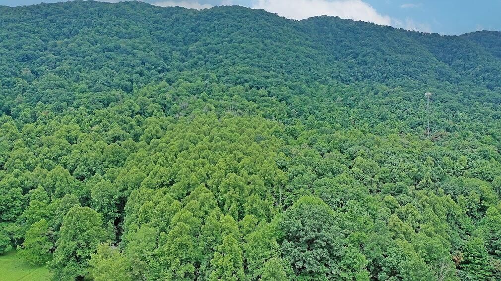 Big Stone Gap, Wise County, VA Undeveloped Land for sale Property ID