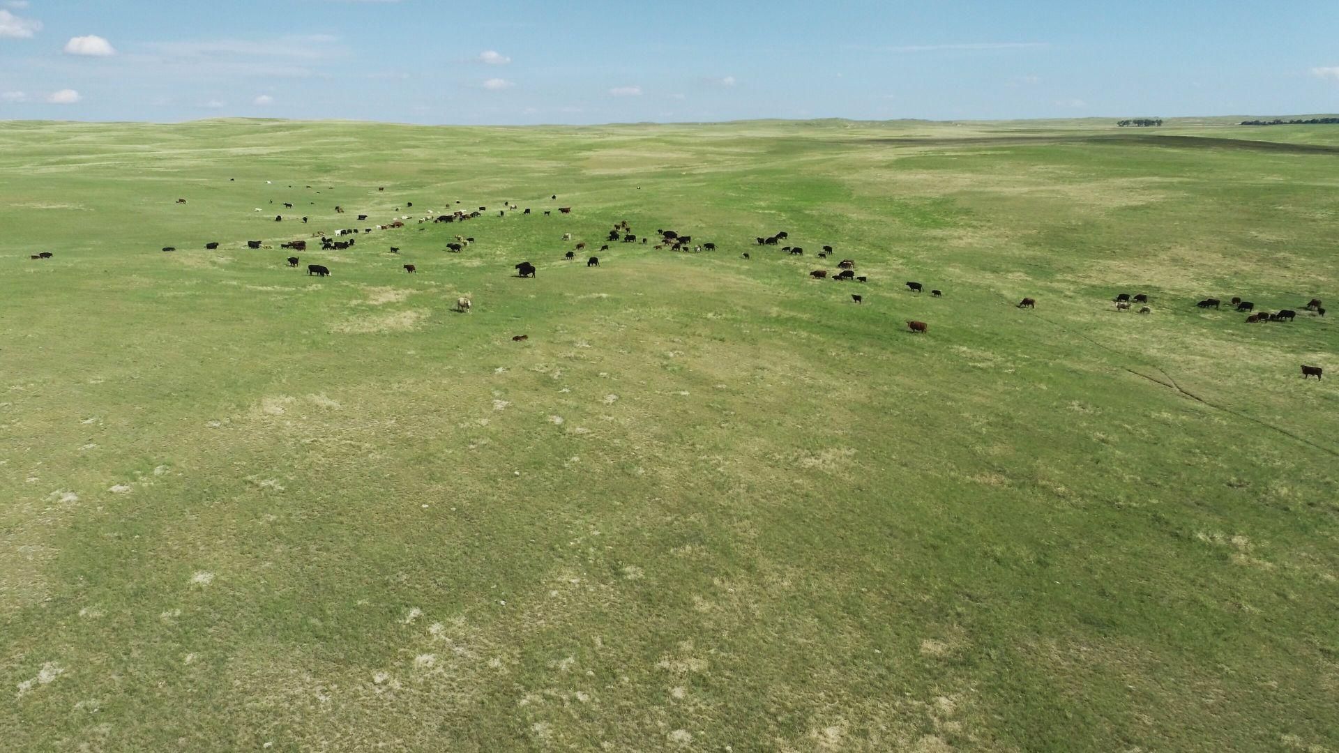 Hay Springs, Sheridan County, NE Farms and Ranches for sale Property ID