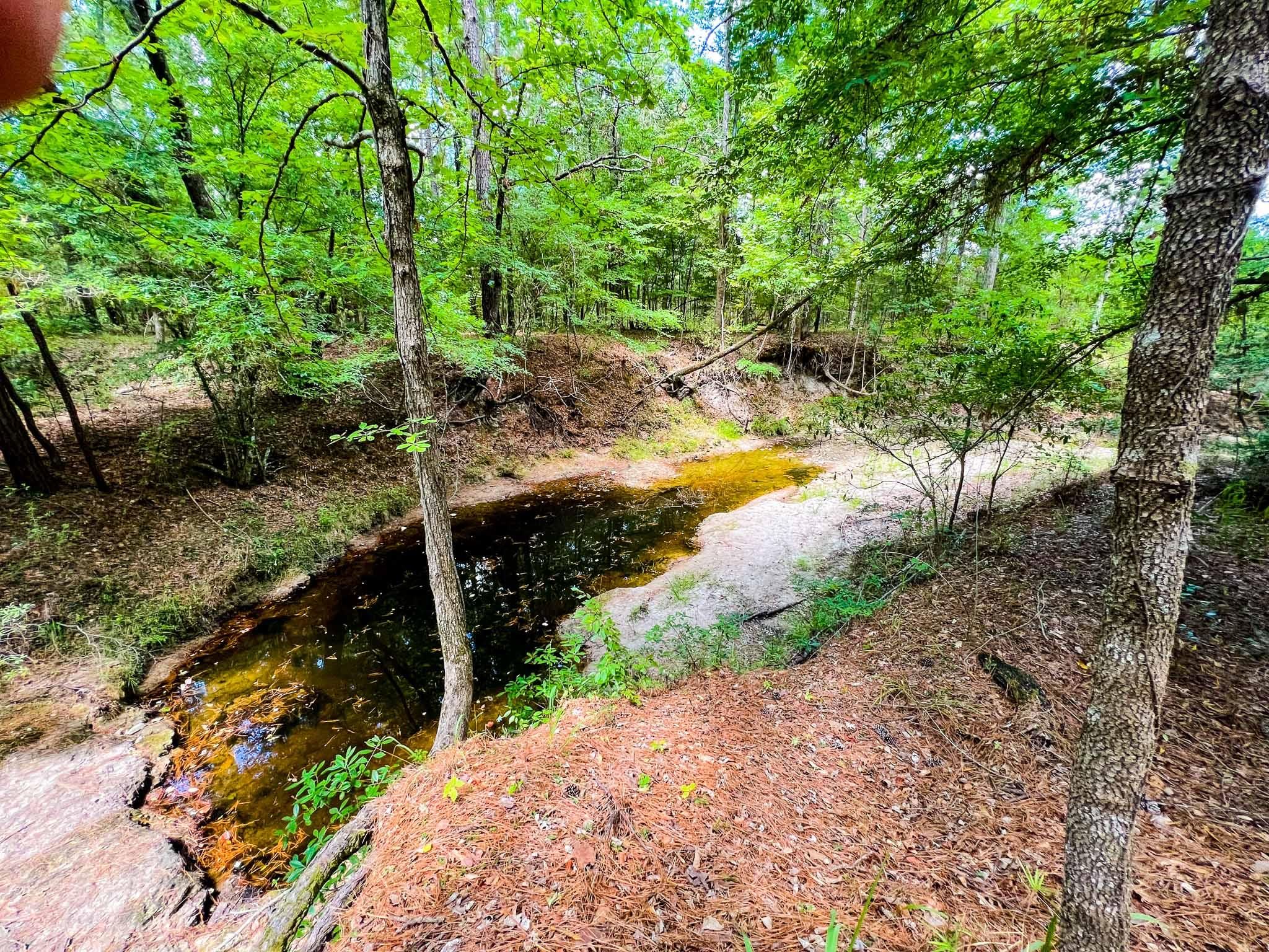 Josserand, Trinity County, TX Recreational Property, Hunting Property