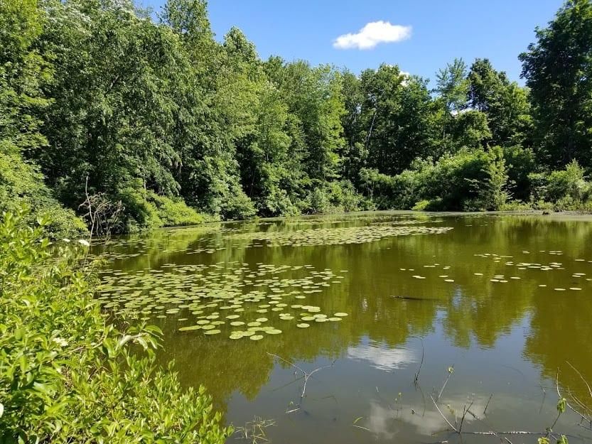 Victory, Cayuga County, NY Recreational Property, Undeveloped Land