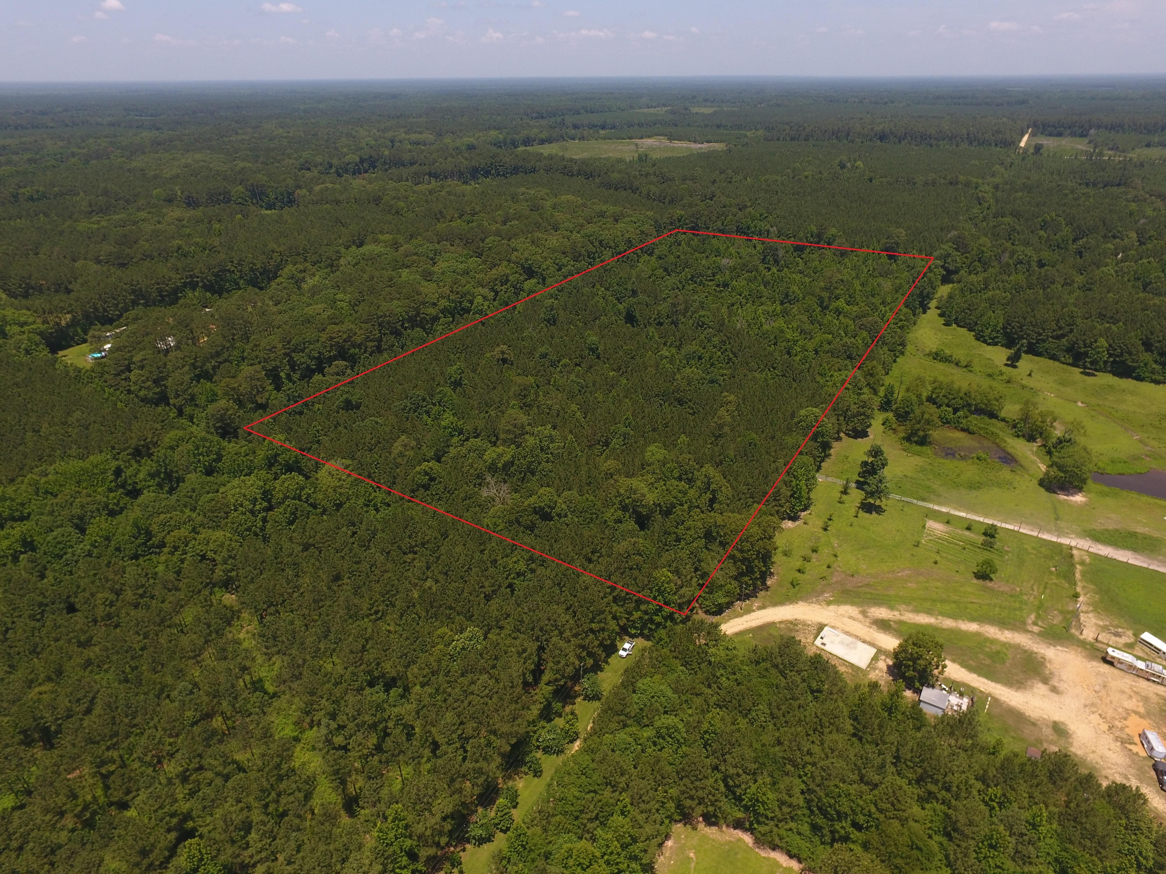 Crossett, Ashley County, AR Timberland Property, Hunting Property for sale Property ID