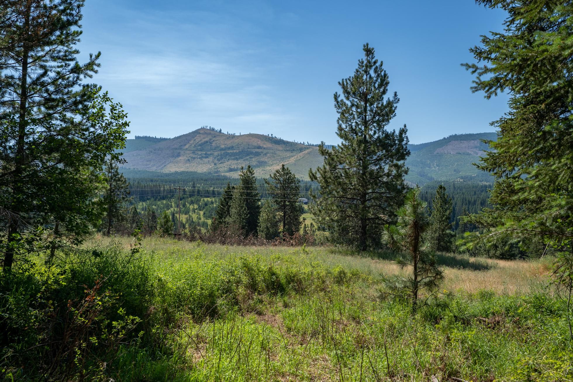 Saint Maries, Benewah County, ID Recreational Property, Undeveloped