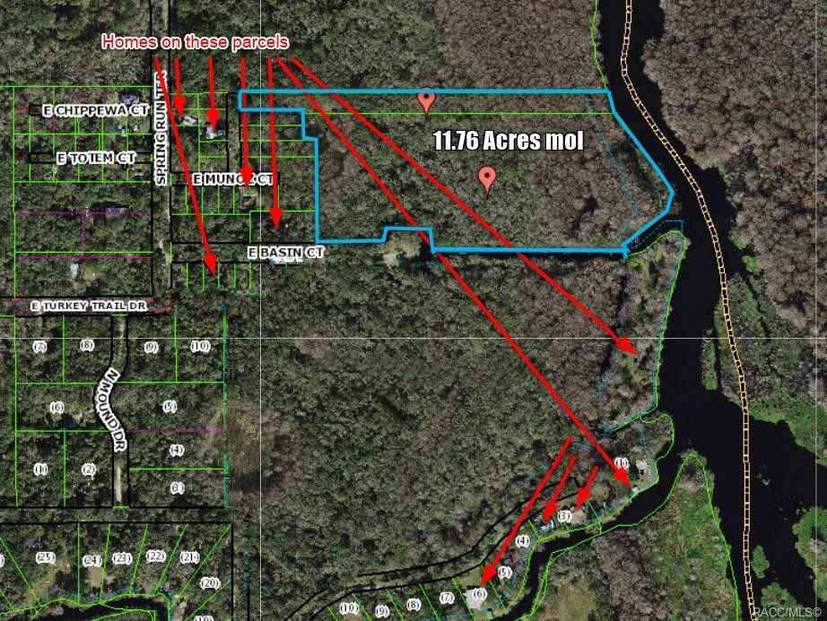 Hernando, Citrus County, FL Undeveloped Land, Lakefront Property