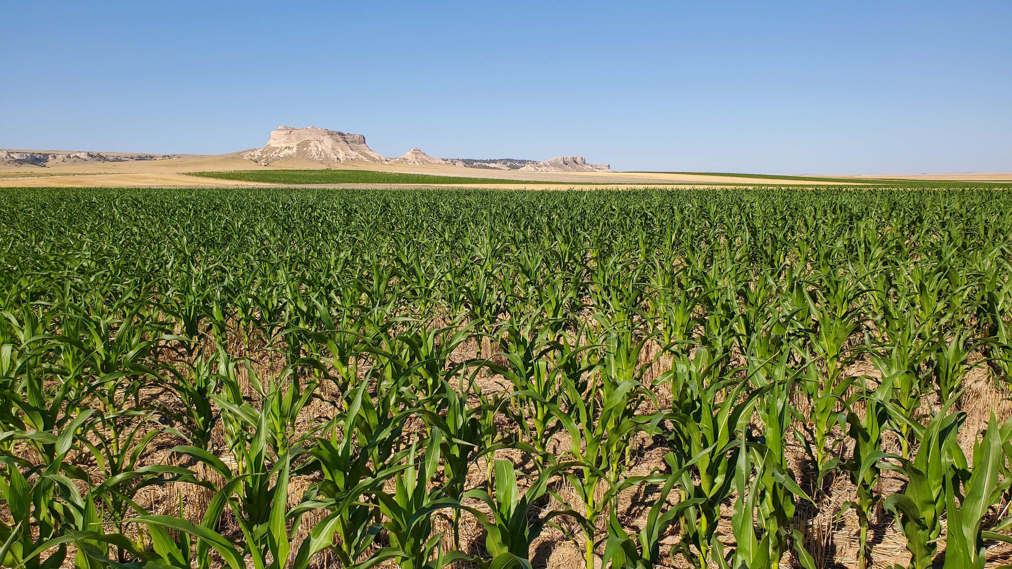 Hawk Springs, Goshen County, WY Farms and Ranches for sale Property ID