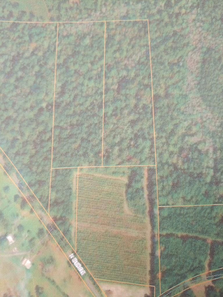 Poplarville, Pearl River County, MS Undeveloped Land for sale Property