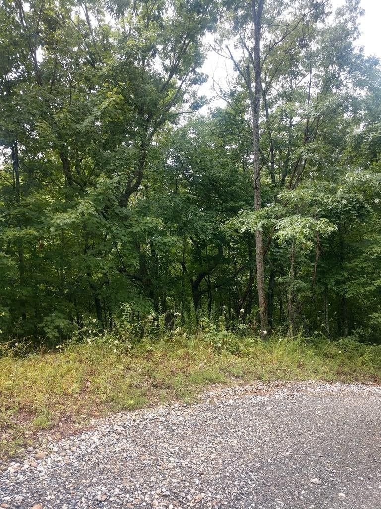 Bryson City, Swain County, NC Undeveloped Land, Homesites for sale