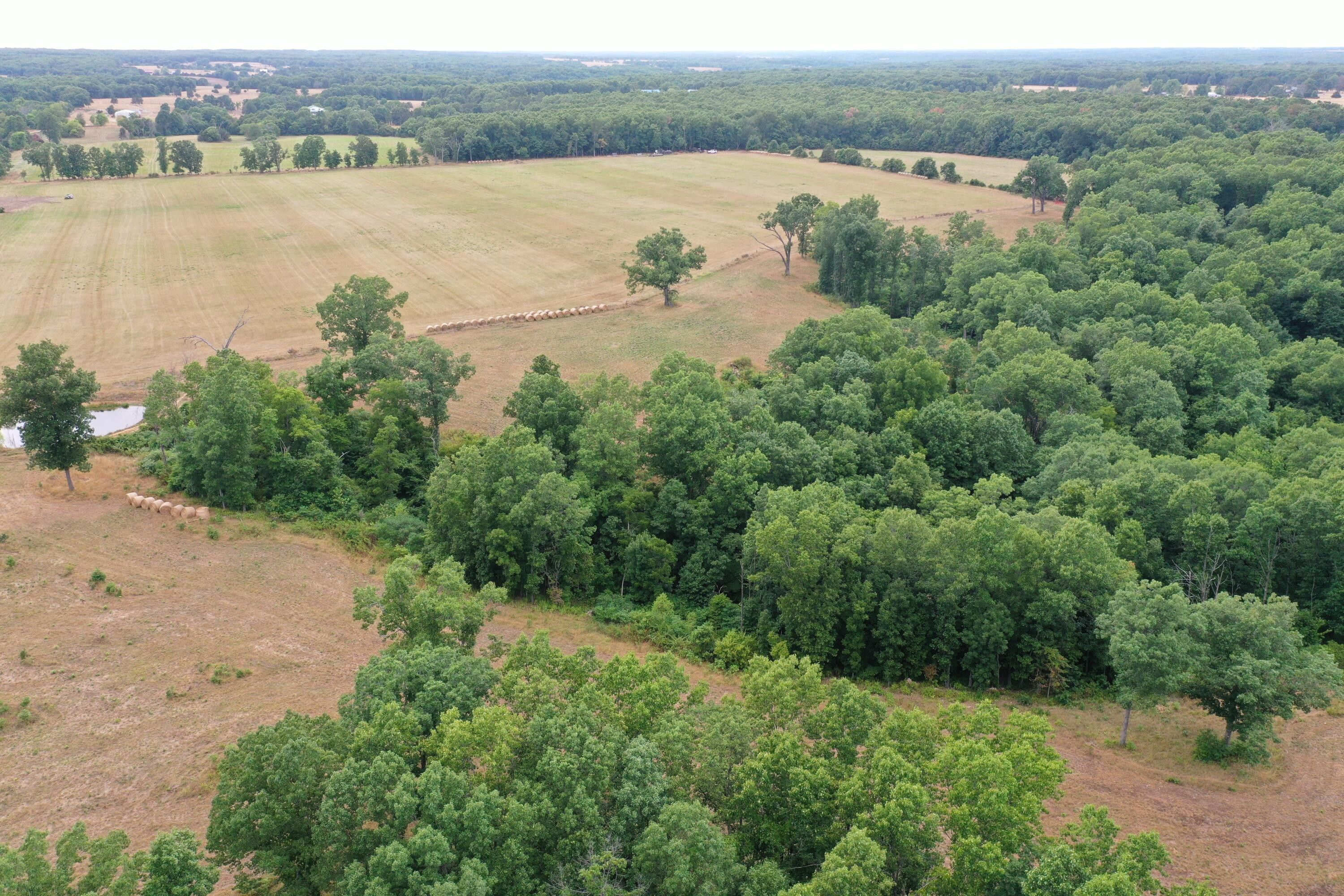 Seymour, ster County, MO Undeveloped Land, Lakefront Property