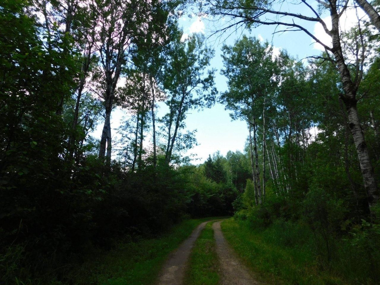 Winter, Sawyer County, WI Undeveloped Land, Homesites for sale Property