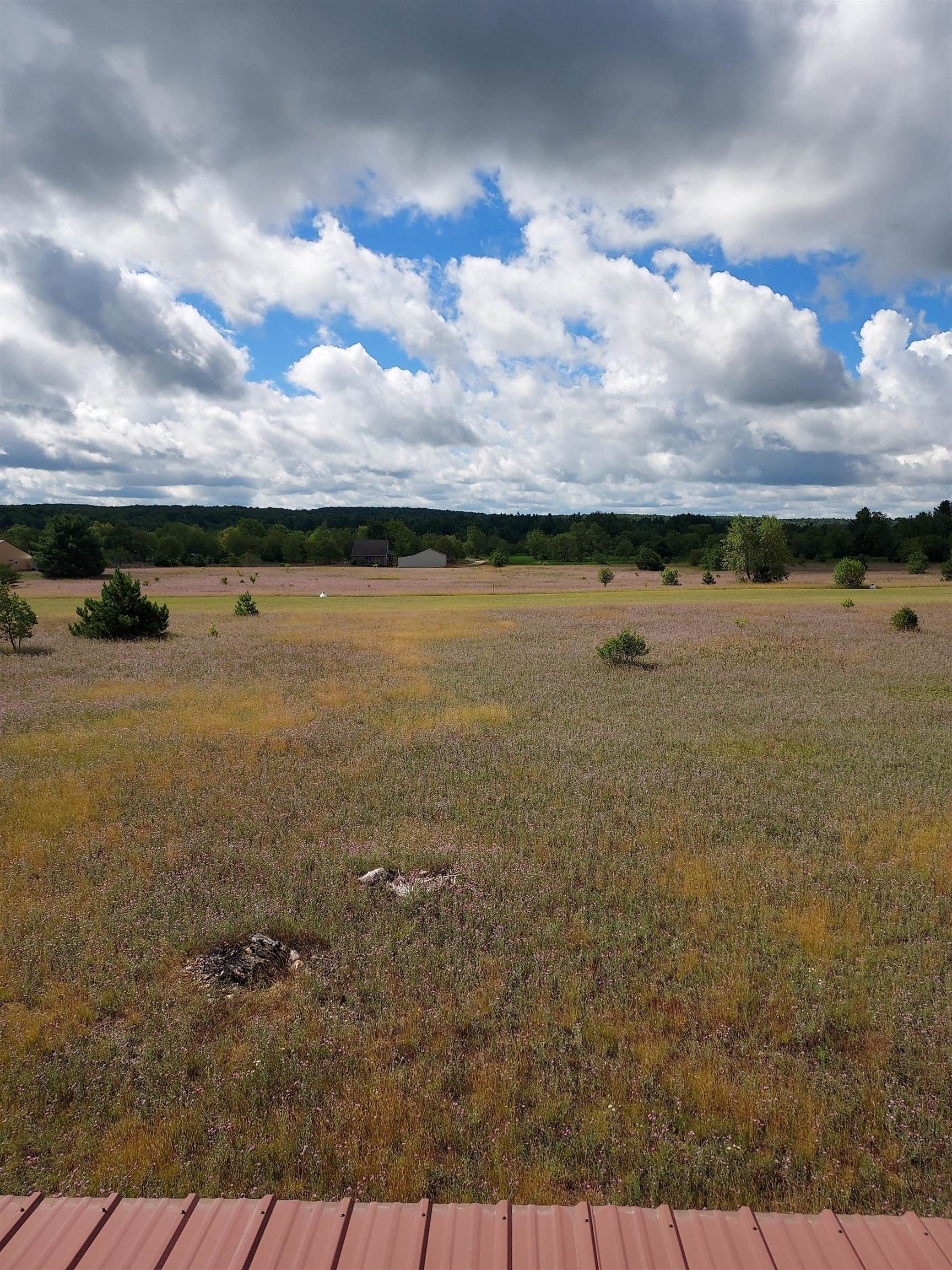 Elmira, Antrim County, MI Undeveloped Land, Homesites for sale Property